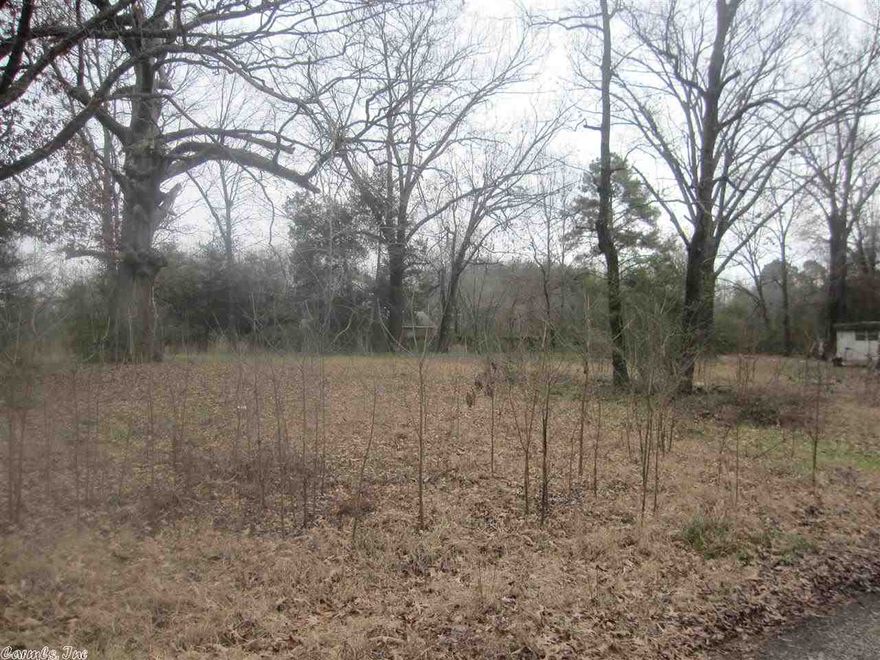 Great level wooded lot.