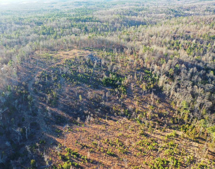 These 20 acres of logged property offers a blank canvas for your next project. With mature timber already harvested, the land is now open, accessible, and ready for development, recreation, or replanting. Ideal for building, farming, hunting, or long-term investment. The cleared areas provide excellent visibility, while remaining natural features preserve the character and potential of the land. Whether you’re looking to build your dream home, establish a homestead, create a hunting retreat, or invest in future timber growth, this property offers flexibility and value. Easement access to the property. A rare opportunity to shape the land exactly the way you want it.