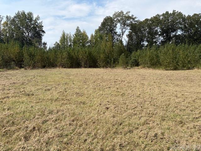 Ward Acres - Land