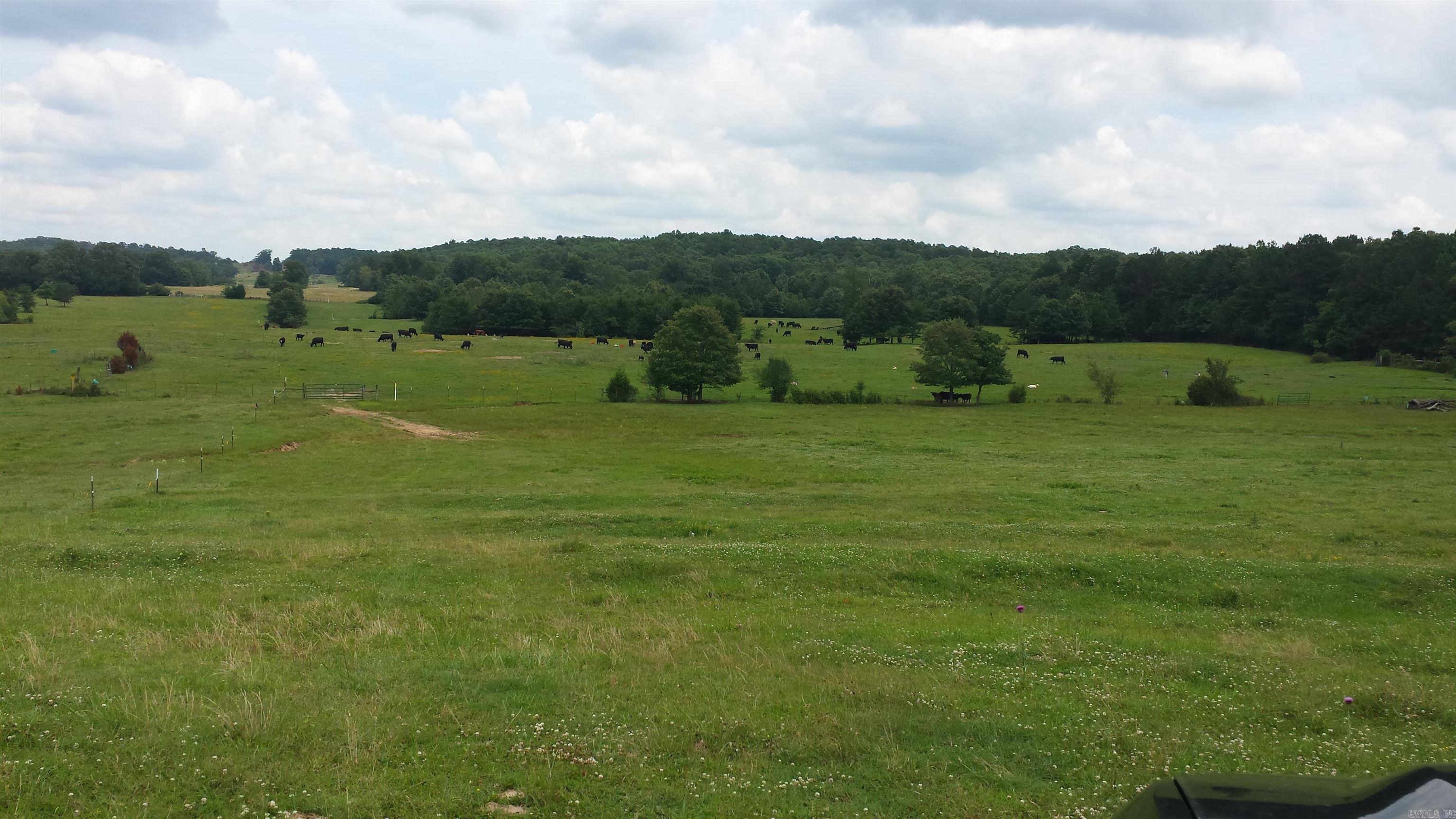 Metes & Bounds - Farm