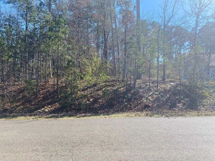 Nice upslope from street then huge sweet spot perfectly flat for house on a slab foundation. Great value homes right across the street which are golf front. First time Buy-In fee at closing $500.