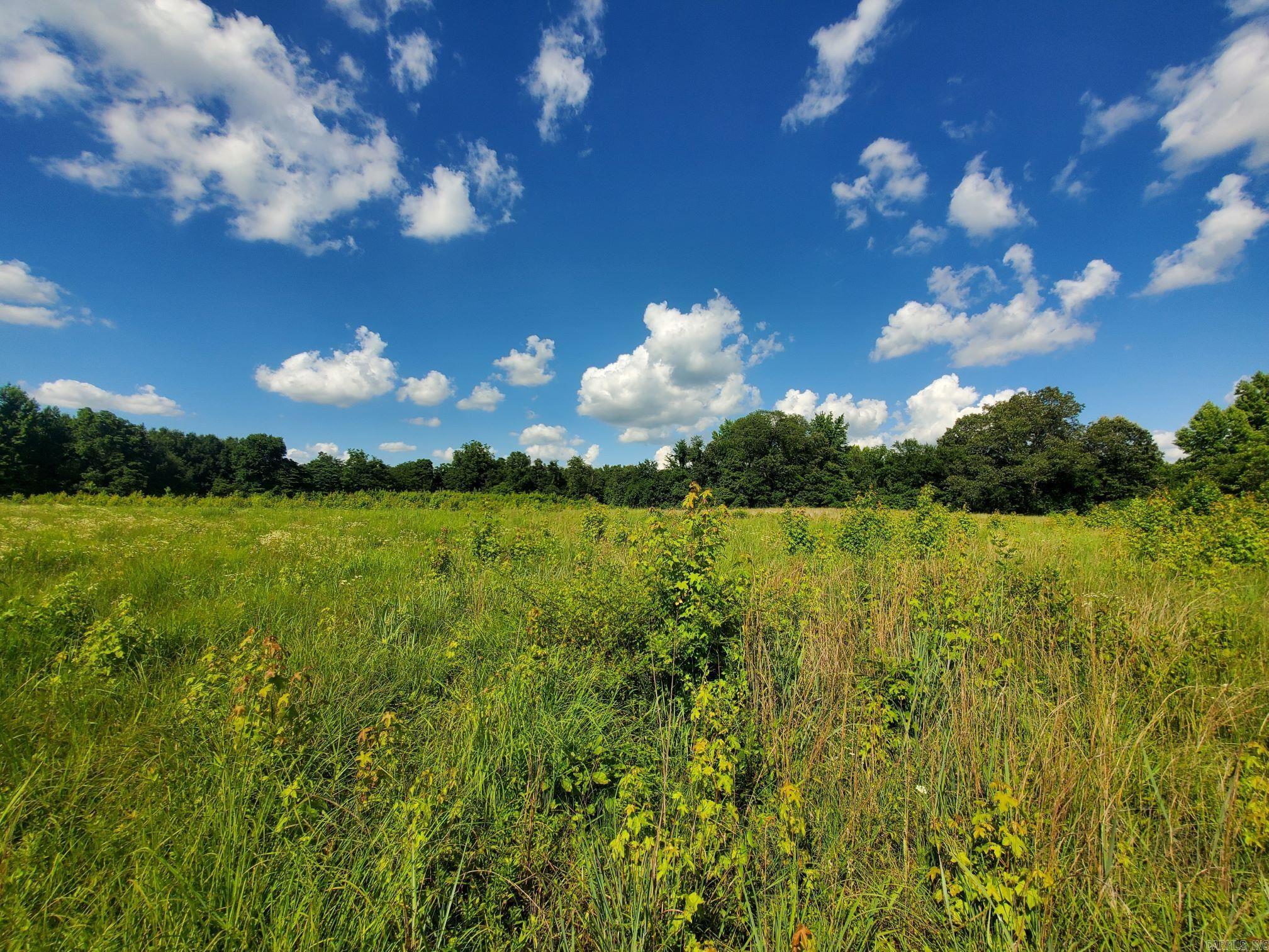1306 CR 461 Piggott, AR. is a 6.8-acre property just off CR 450! This is a beautiful property to build on just outside of town on the edge of Crowley's Ridge!