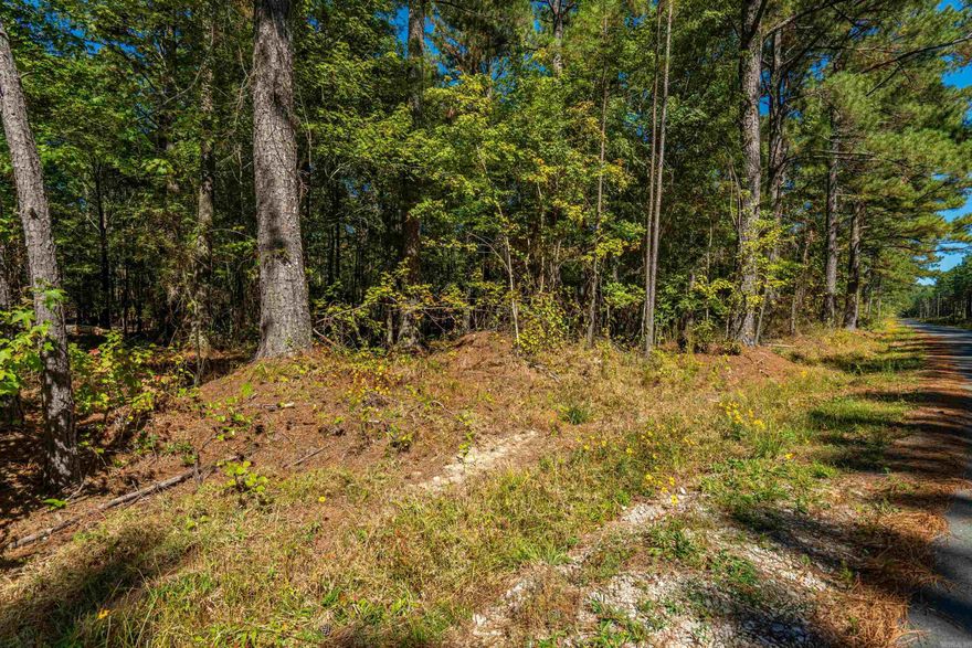 Potential for a perfect homesite nestled among mature trees on a level, wooded lot. This gorgeous property offers the perfect blend of privacy and natural scenery—an ideal setting to build your dream home or hold as a smart land investment. The land is mostly level, making it easy to build, with plenty of space to create your ideal layout. Peaceful surroundings and breathtaking views make this a truly special spot. Whether you’re looking to build now or invest for the future, this property offers endless potential in a stunning location. This spacious lot offers the perfect place to build your dream home among other well-kept properties. There are deed restrictions recorded to protect the desirability of the subdivision. Acreage is approx. Buyer will need a new survey.
