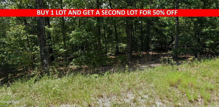 Buy one lot and get 50% off an additional lot! Owner-finance for easy terms. Cash buyers can pay by debit or credit card as well. Nice lot to develop or hold for future value. Public water and electric are available to run to property and will need septic. Owner/agent. No mobiles allowed. 300-2500 minimum build size on any other type of home, depending on subdivision. Finance is 5 months at $194 and closing costs are included. Lots marked with red banner are part of promotion. No limit on lots. Buyer responsible for any/all taxes and lots sold "as-is". Quit claim deed conveys. Parcel ID# 405-21415-000