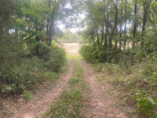 163 HIGHWAY 27 N, STORY, AR 71970 - Image 02cd0431fd2b6b5c8eb2274f8e441162/3860605374