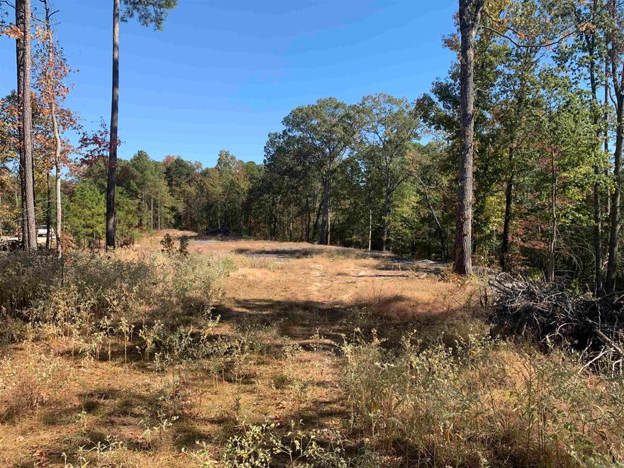 WELCOME to your future oasis! This breathtaking 2.23-acre vacant lot in Oklahoma Inn Estates presents a unique opportunity to build your dream retreat or ideal home. Nestled in the picturesque Saline County, this property is enveloped by the beauty of nature, inviting you to imagine endless possibilities. With ample space to design your perfect landscape, you'll have room for lush gardens, recreational activities, and the ultimate enjoyment of the great outdoors. A perk test has been conducted and approved for a septic system, ensuring a smooth building process. Utilities are conveniently available at the road, and the lot is served by the highly regarded Glen Rose Schools. Seize this chance to create your personal sanctuary! MOTIVATED SELLER!