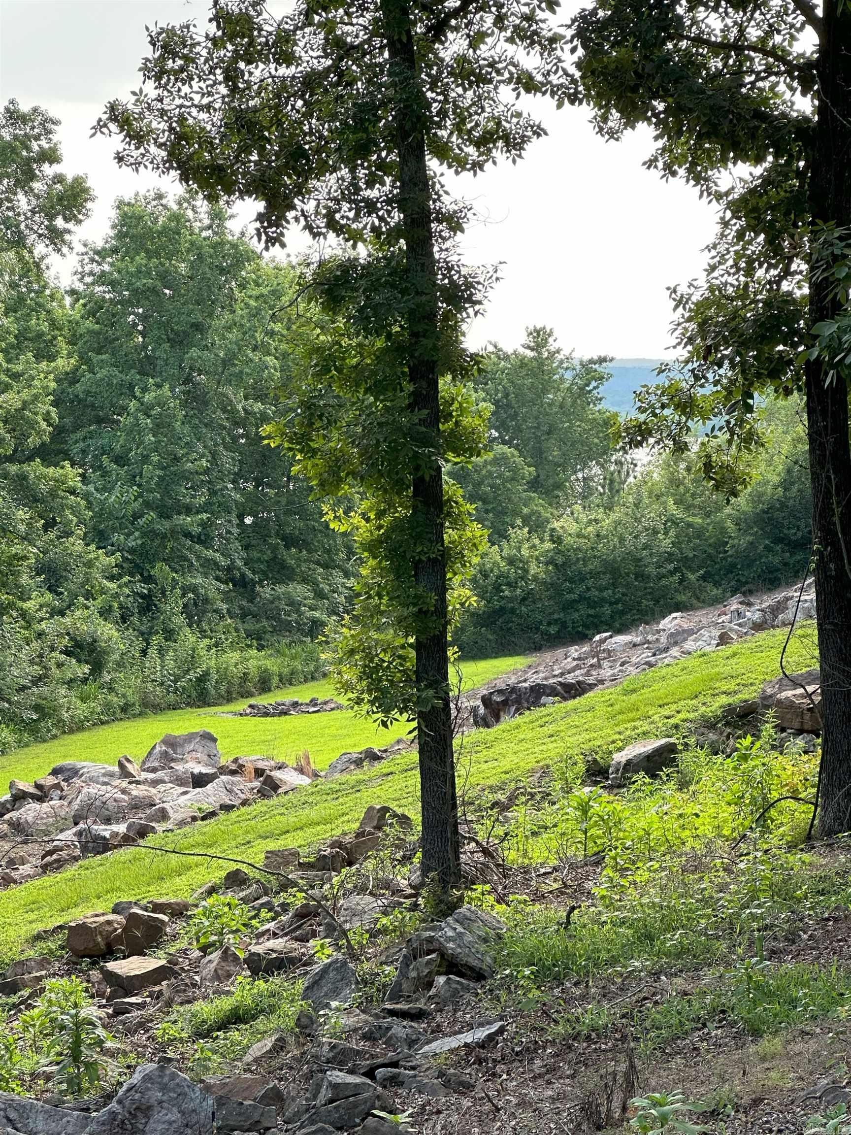 SKYPOINT ESTATES - LAKE - Residential