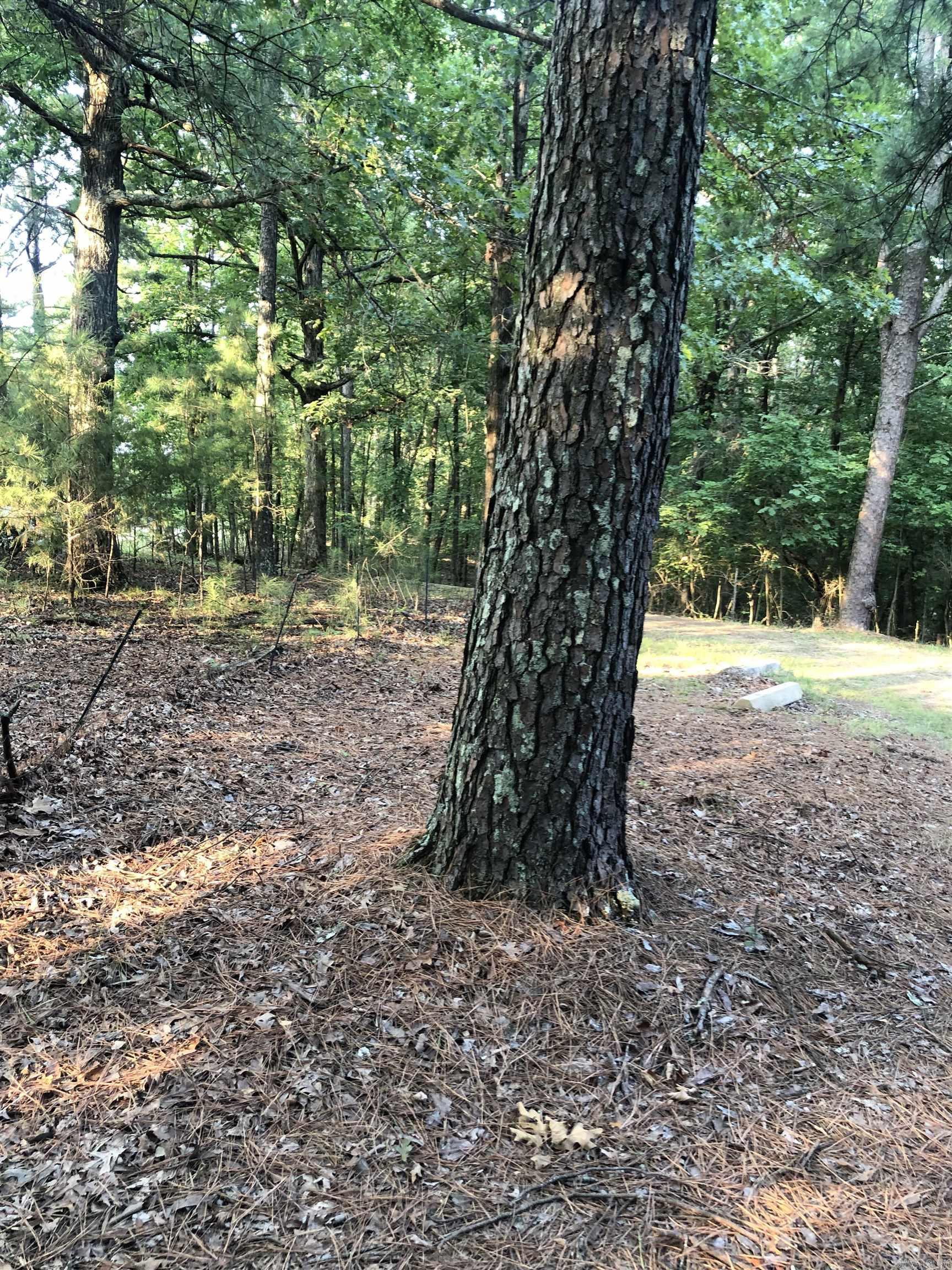 Not in Subdivision - Land