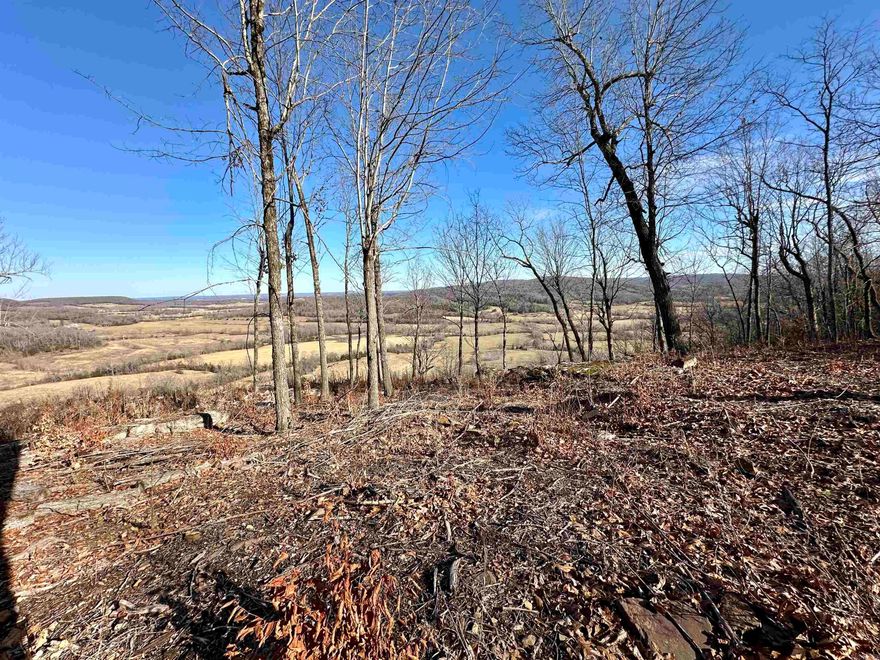 Nestled on a serene 3.00-acre parcel of land just outside of Marshall, Arkansas, this property offers a picturesque escape with breathtaking views of Cove Creek Valley. Surrounded by lush woodlands, the landscape is adorned with intriguing rock formations that add character to the natural beauty of the area. Nature enthusiasts will appreciate the property's proximity to the Backbone Scenic Overlook, which is just a stone's throw away, promising awe-inspiring vistas of the surrounding countryside. This idyllic piece of land presents an exceptional opportunity for those seeking tranquility and a connection to the rugged charm of the Arkansas wilderness.
