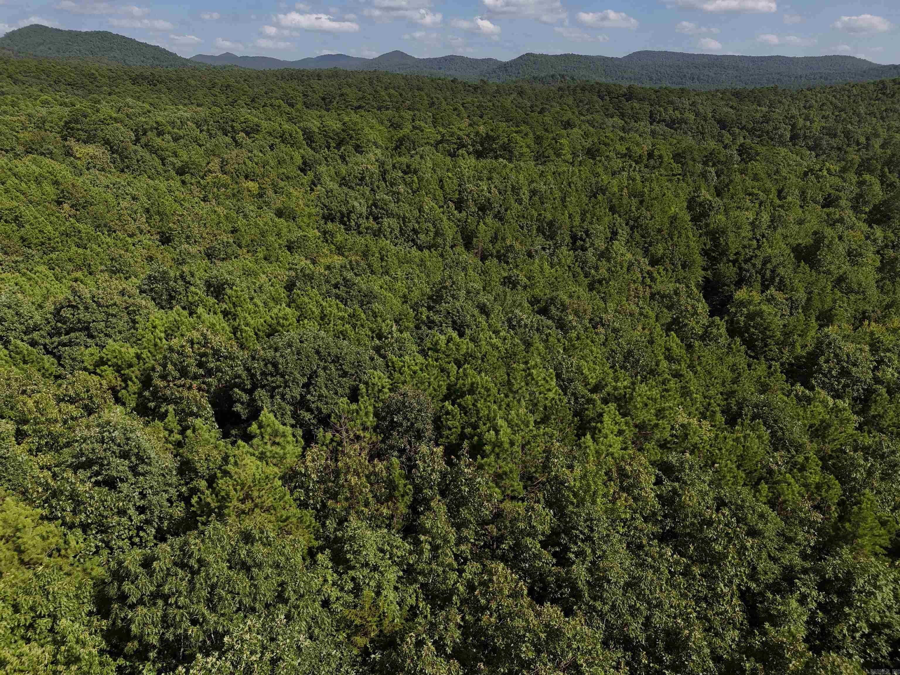 Build your home on this 3.662 wooded acres - just waiting for you in the beautiful Rustic Ridge Subdivision! Enjoy mountain views, peaceful surroundings, wildlife, and a great location just minutes to downtown Mena. Ride straight to the Wolf Pen Gap west trailhead which is just 12 miles away. Electric is available, and a survey is completed. This lot is a beautiful place to build, relax and explore - come take a look today!