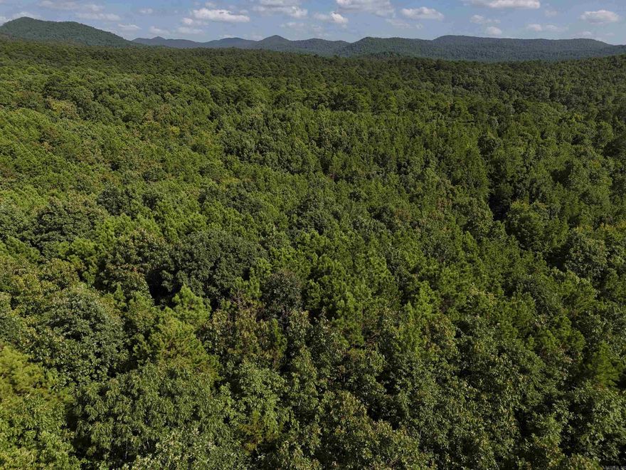 Build your home on this 3.662 wooded acres - just waiting for you in the beautiful Rustic Ridge Subdivision! Enjoy mountain views, peaceful surroundings, wildlife, and a great location just minutes to downtown Mena. Ride straight to the Wolf Pen Gap west trailhead which is just 12 miles away. Electric is available, and a survey is completed. This lot is a beautiful place to build, relax and explore - come take a look today!