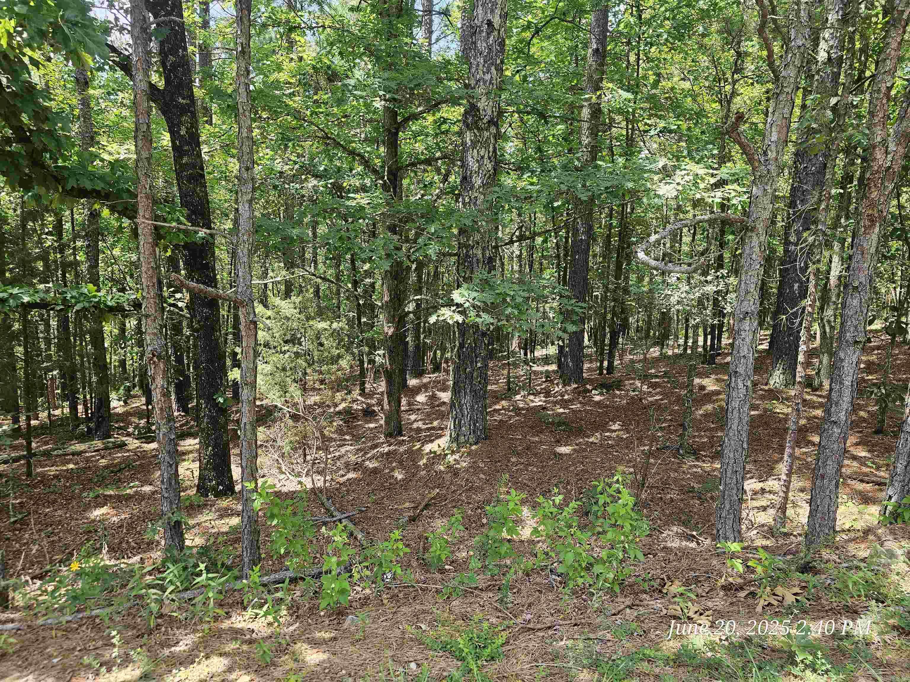 Downward slope lot on the west side of HSV with utilities present. Great for a walk-out basement. There's a $300 buy-in fee on unimproved lots for new members to HSV that's collected at closing.