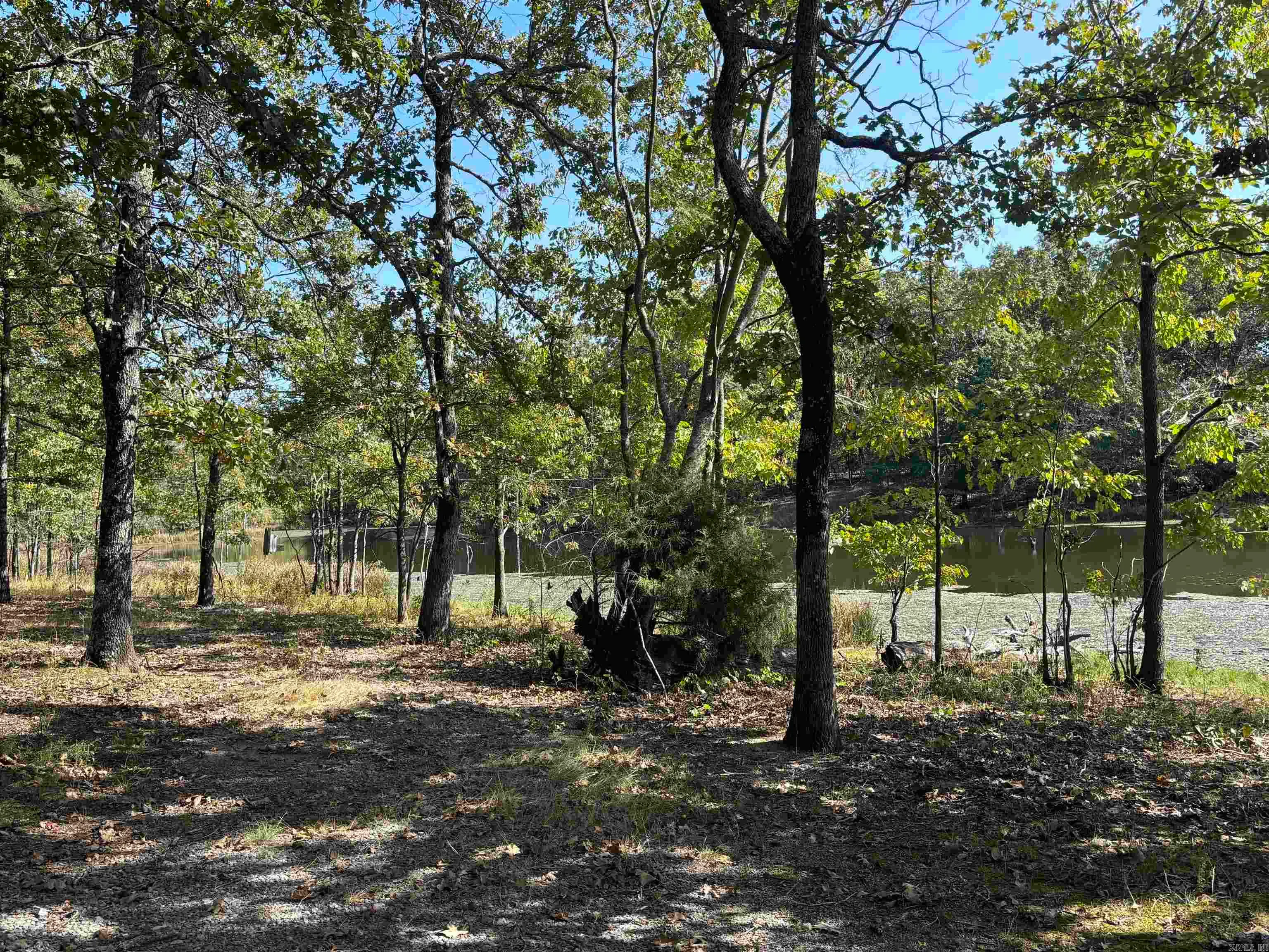 Dewitt, Arkansas 72042, United States, ,Residential,Active,222655