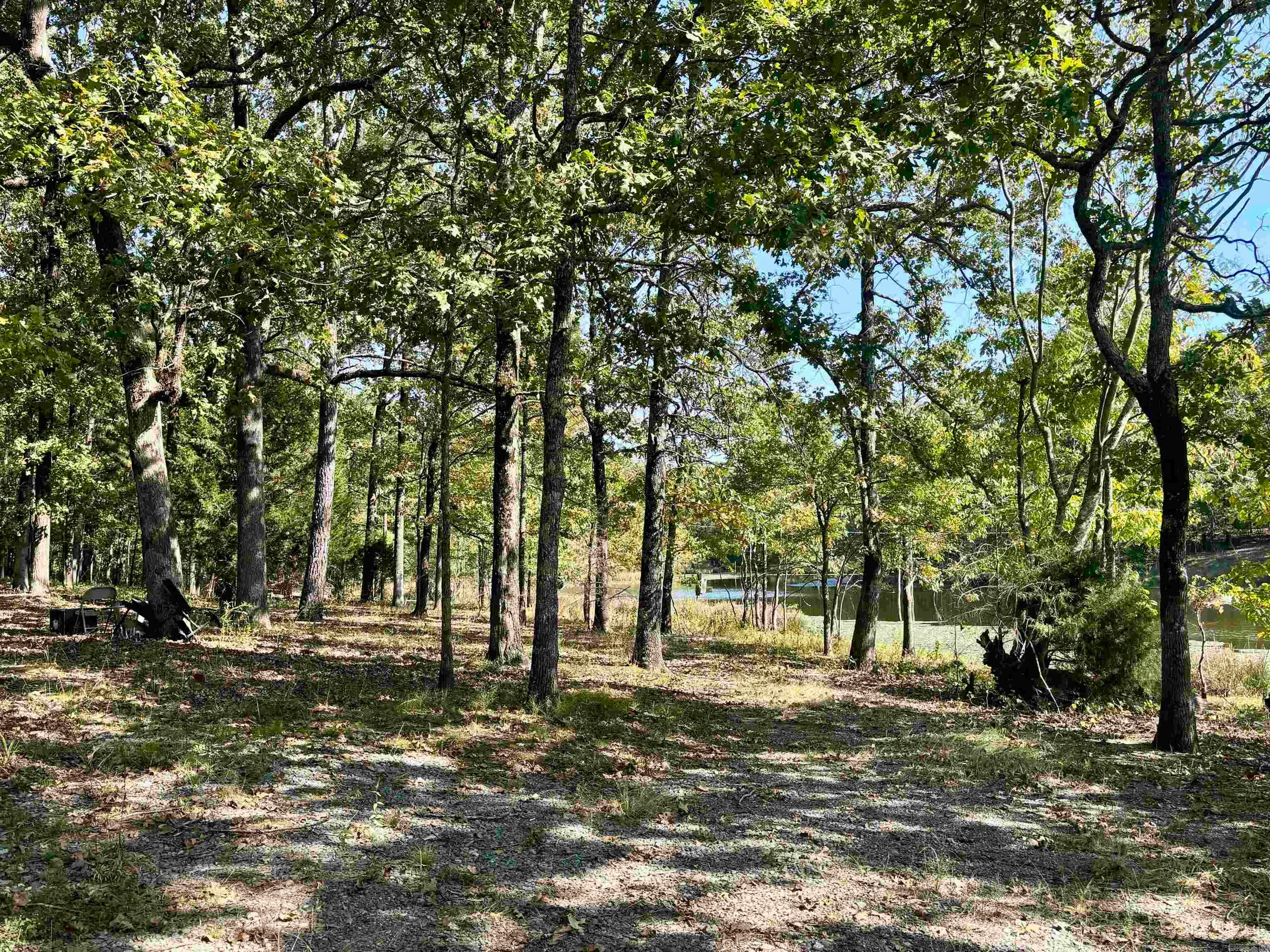 Dewitt, Arkansas 72042, United States, ,Residential,Active,222655