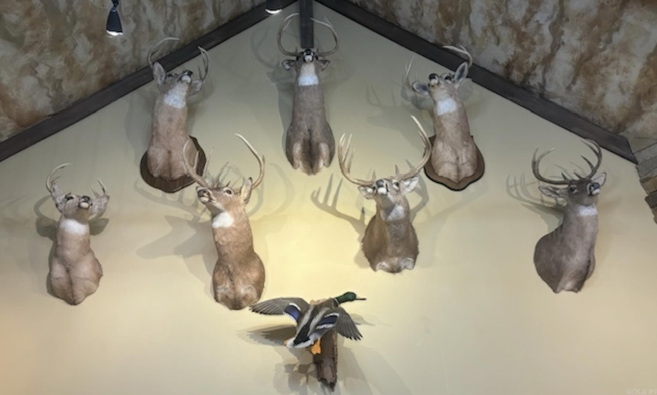 Metes & Bounds - Farm