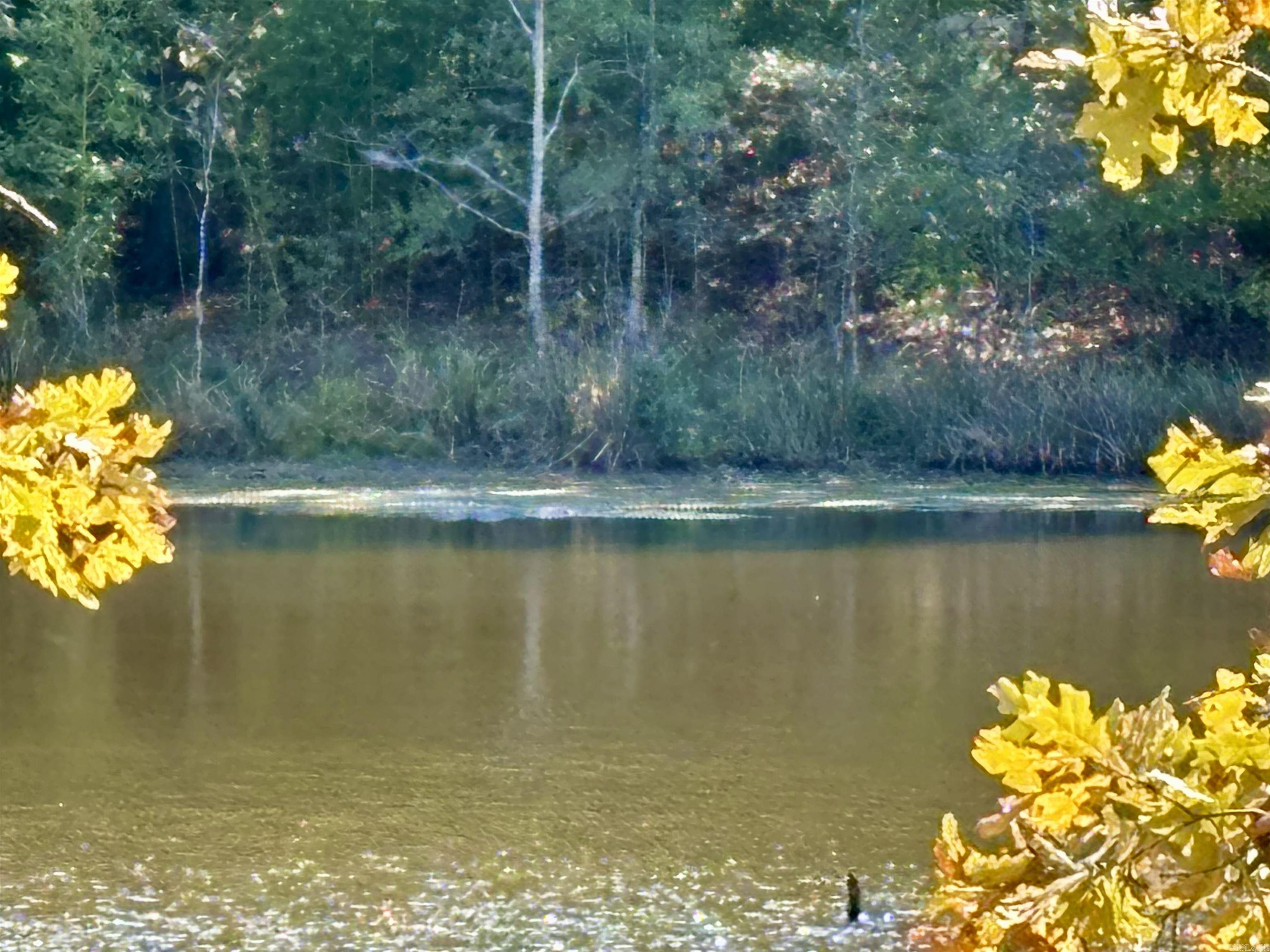 Metes & Bounds - Farm