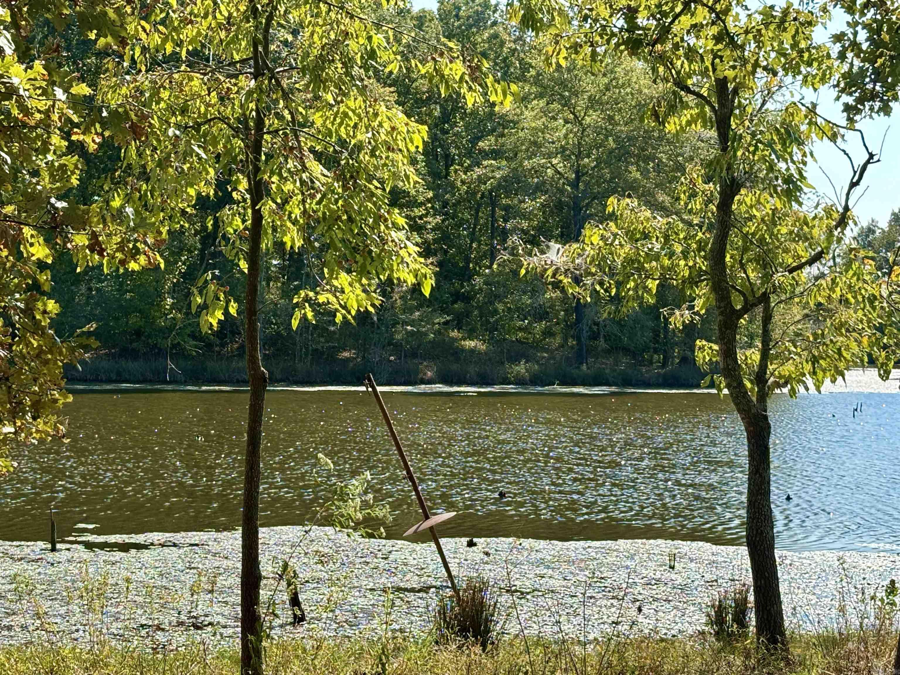 Metes & Bounds - Farm