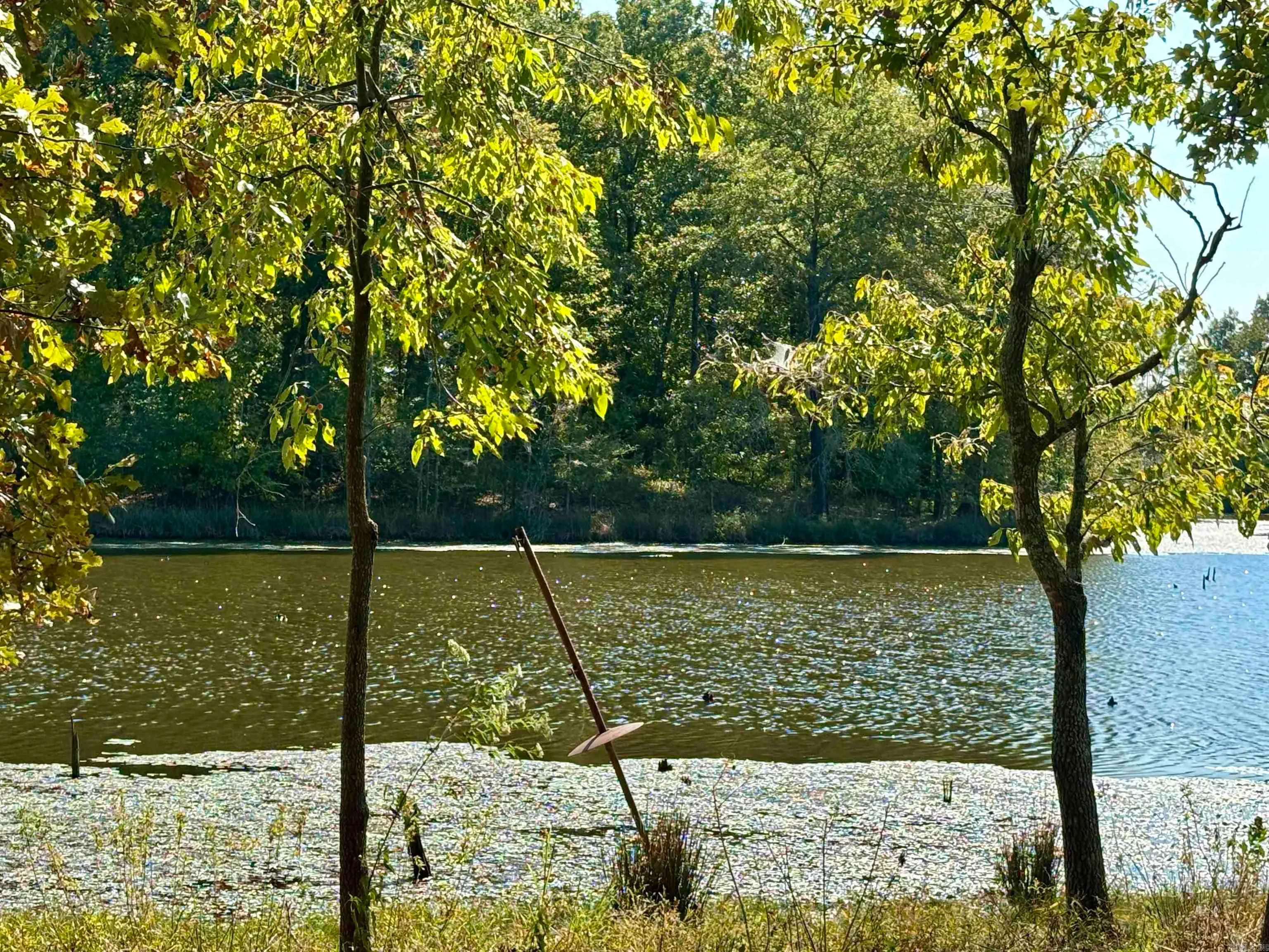 Dewitt, Arkansas 72042, United States, ,Residential,Active,222655