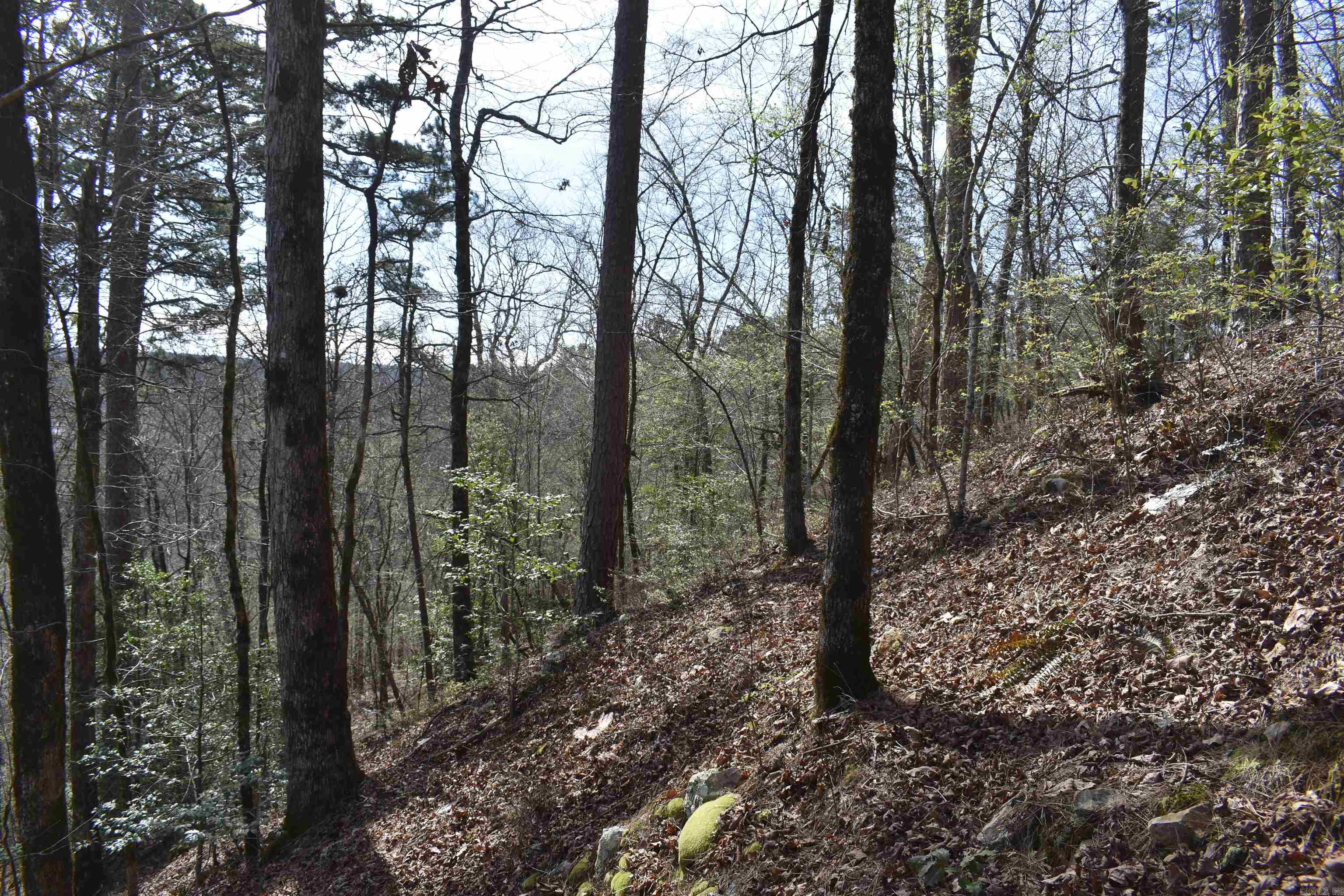 Metes & Bounds - Land