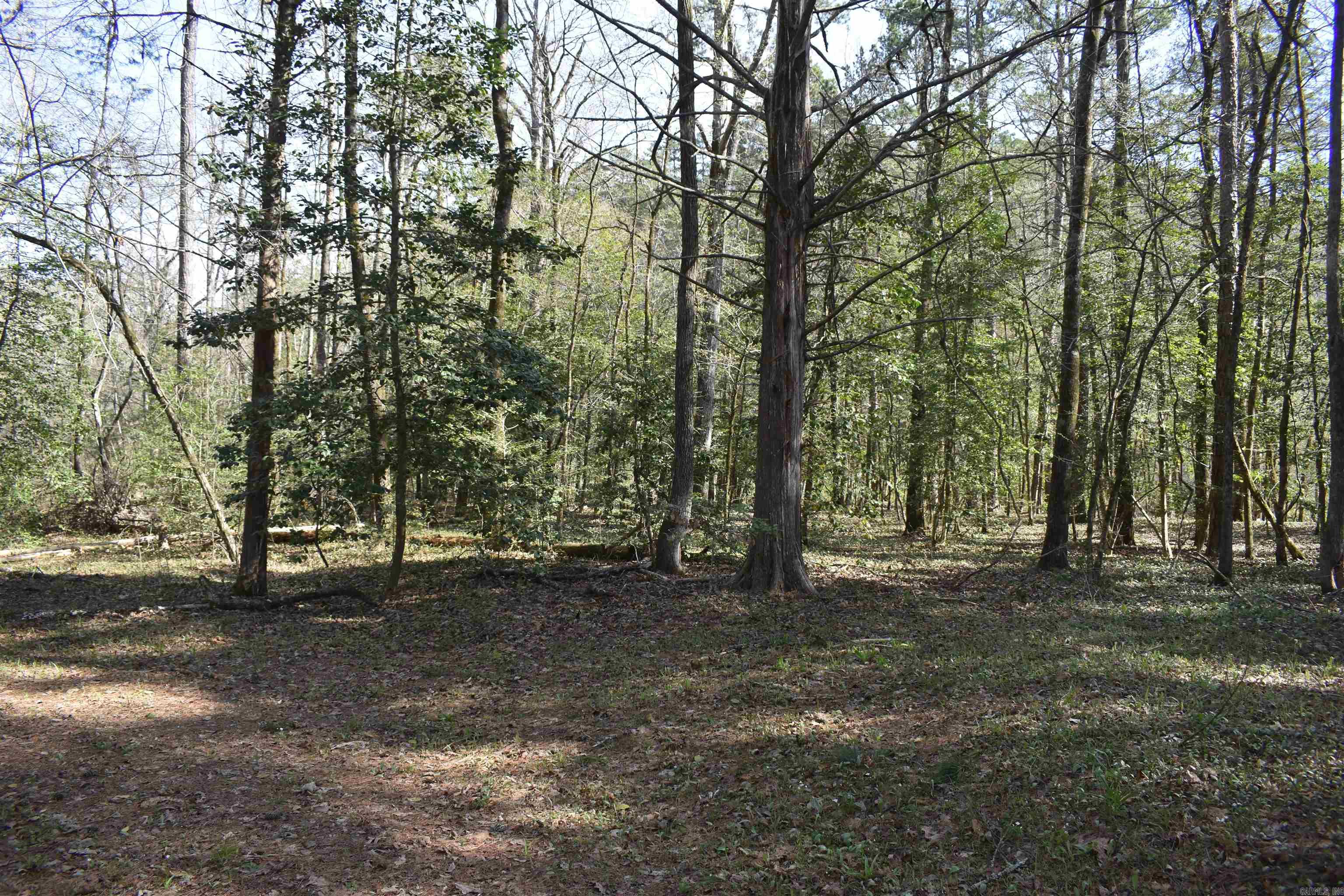 Metes & Bounds - Land