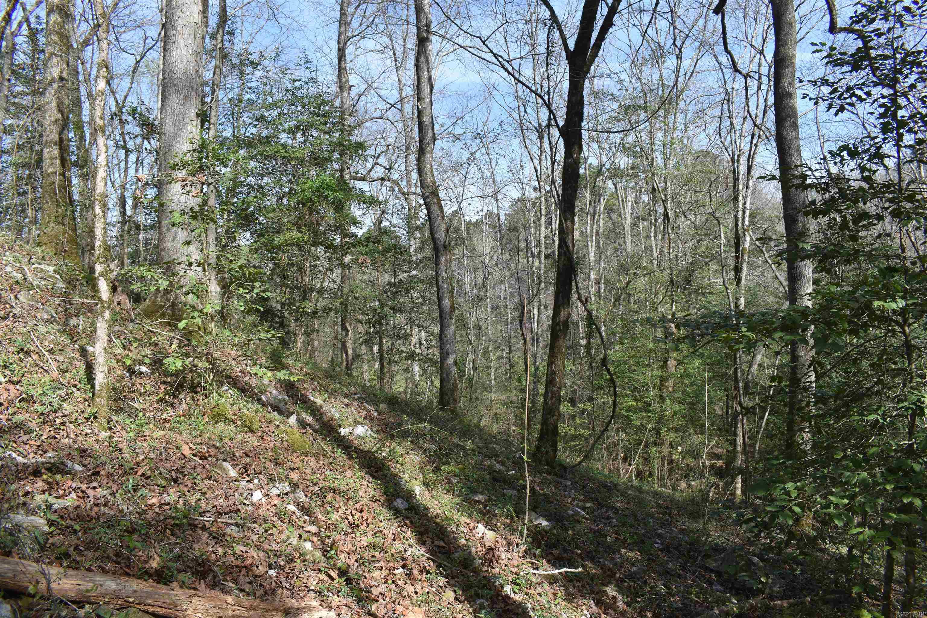 Metes & Bounds - Land