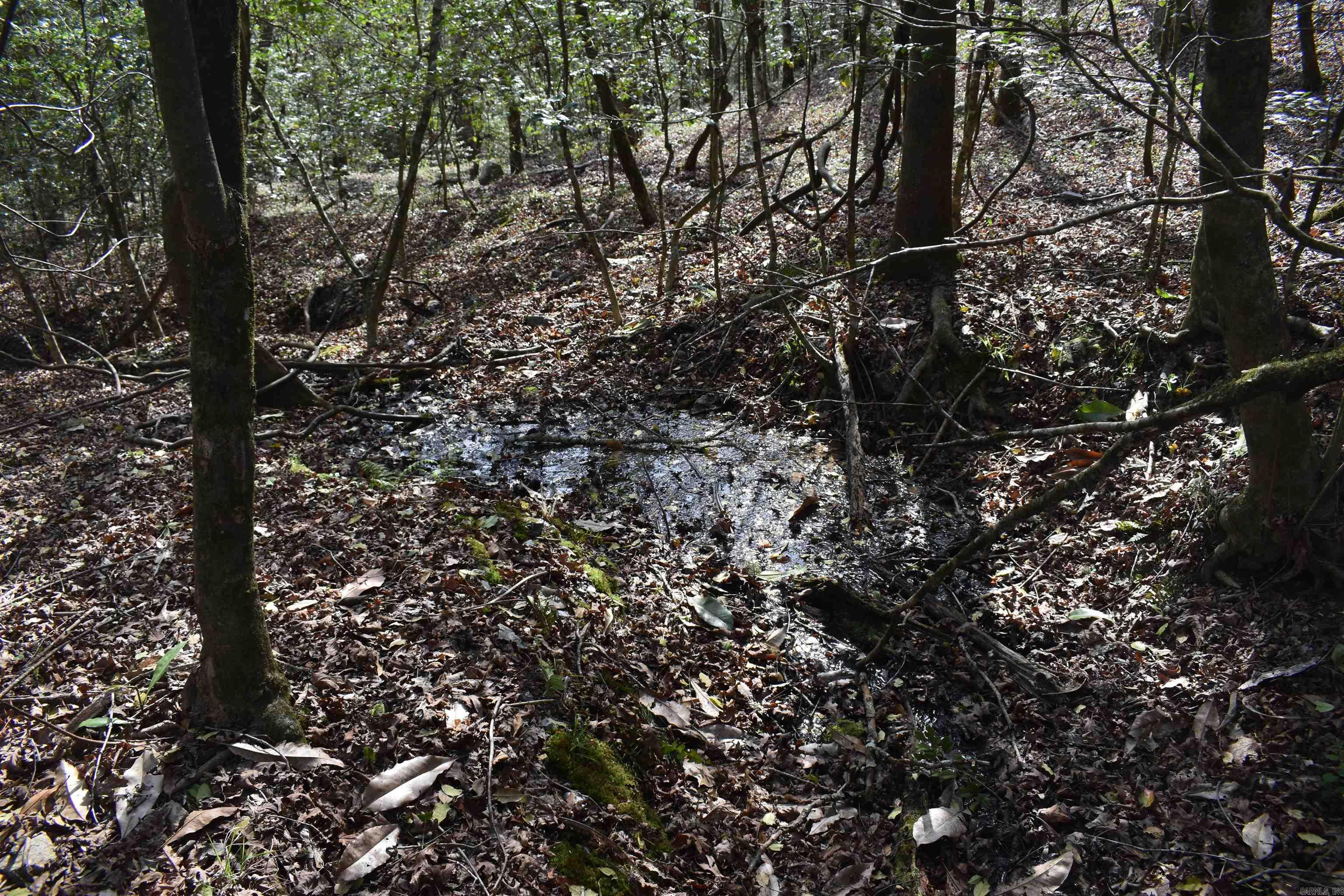 Metes & Bounds - Land