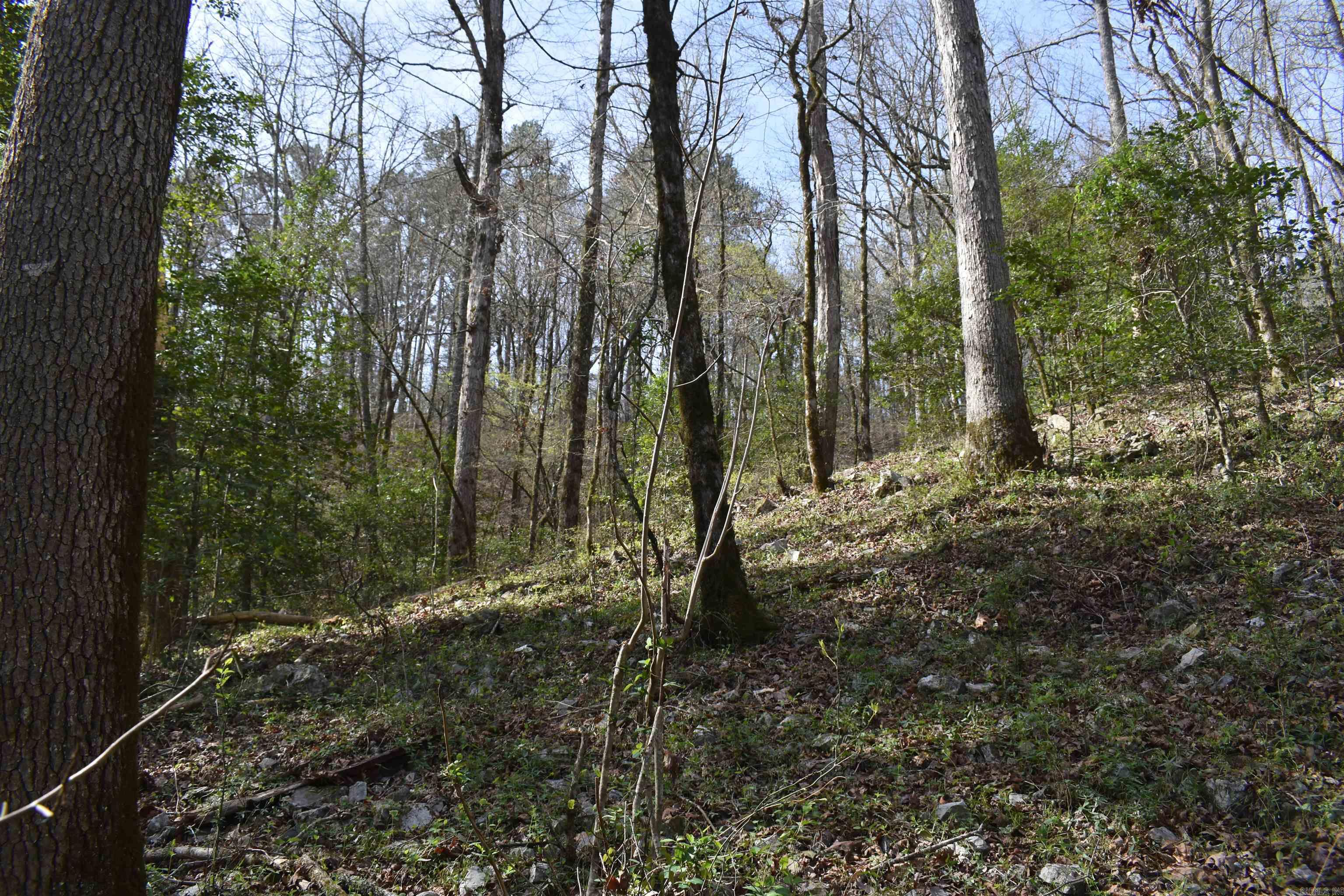 Metes & Bounds - Land