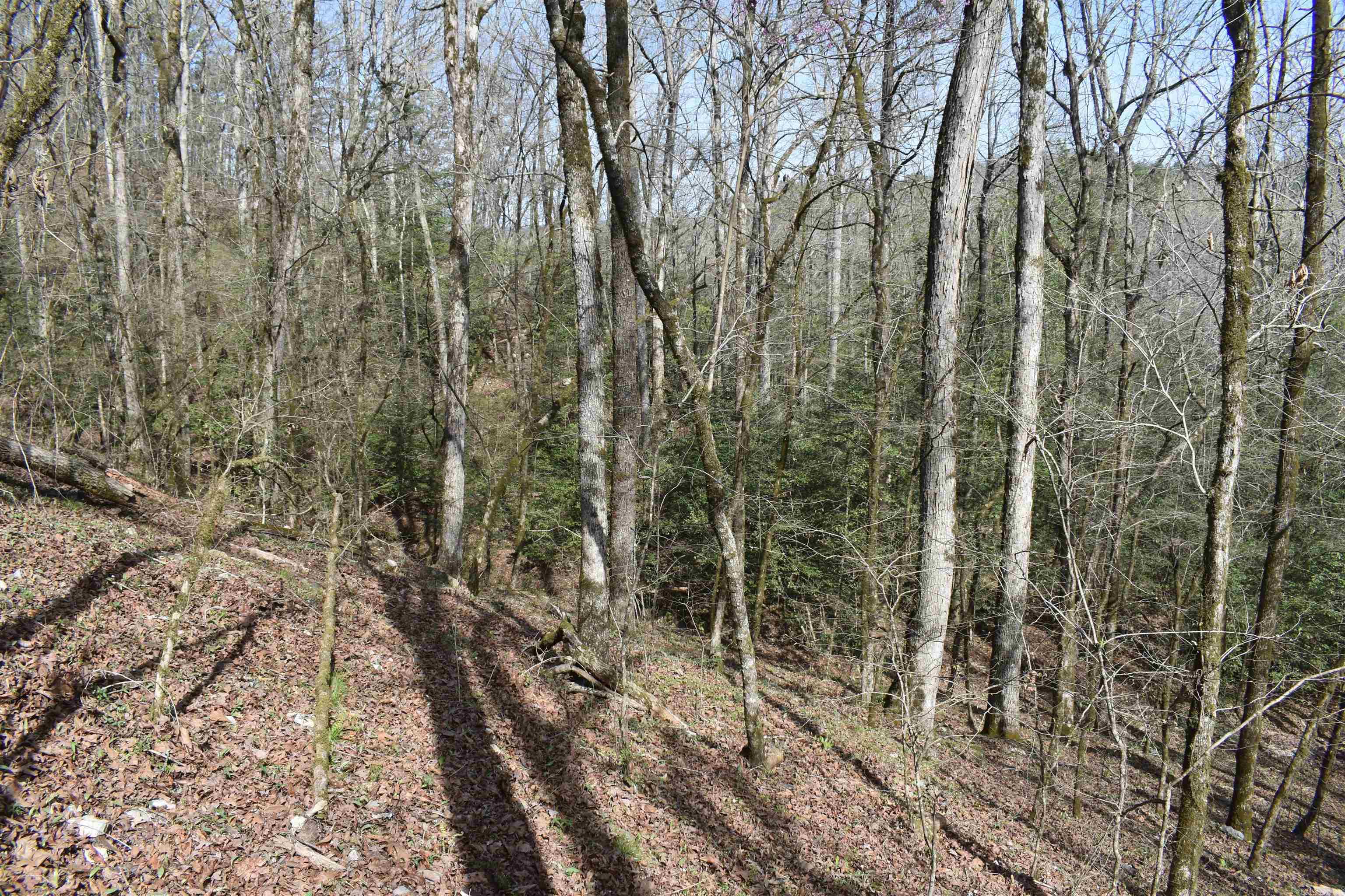 Metes & Bounds - Land