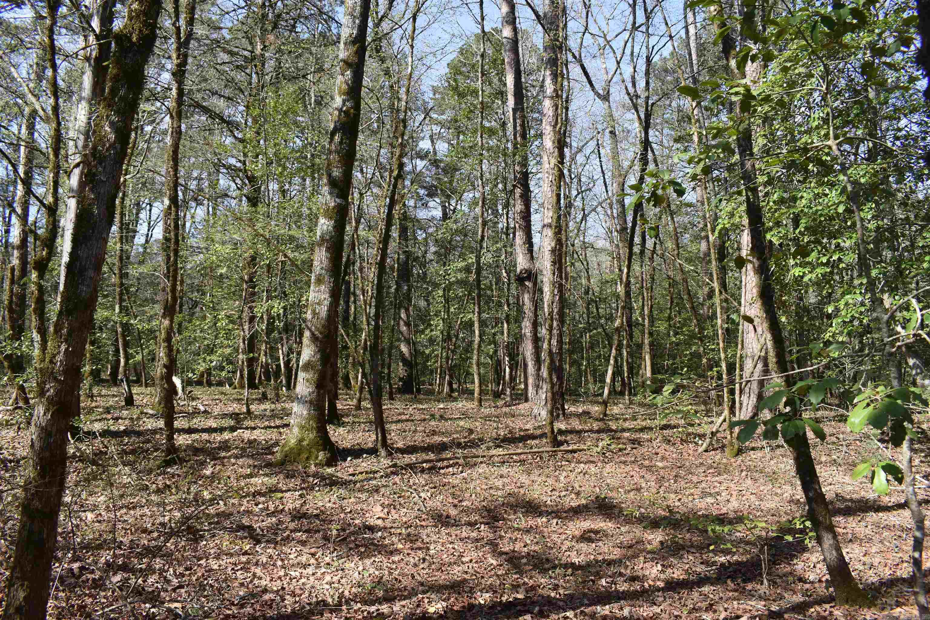 Metes & Bounds - Land