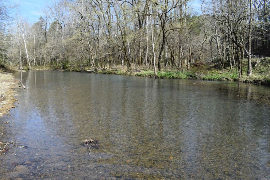 Mazarn Creek is a crystal clear, year-round, spring fed creek in the heart of the Ouachita Mountains with beautiful shoals, deep pools, and picturesque views. This 32 +/- acre parcel fronts Mazarn Creek for approximately 2200 feet, giving great access to several pools and shoals within the mountain stream. Not only does this property boast frontage on one of the most beautiful creeks in the area, but also adjoins the Ouachita National Forest for 2350 +/- feet. The combination of National Forest boundary and creek frontage almost completely encompass the property, leaving only three hundred feet of true neighboring private property boundary.  The driveway to the property is only 75 yards from the paved Old Dallas Road, and as you enter into the property though the towering pine timber, you will be greeted with a park-like aesthetic. A small campsite has been cleared out, and electricity is available at the road. Mature timber dots the landscape, and makes for great views as well as great hunting areas. There are over two hundred feet of elevation change across the property, varying from creek bottom to high ridge tops. Deer, Turkey, and Black bear are known to frequent the area.