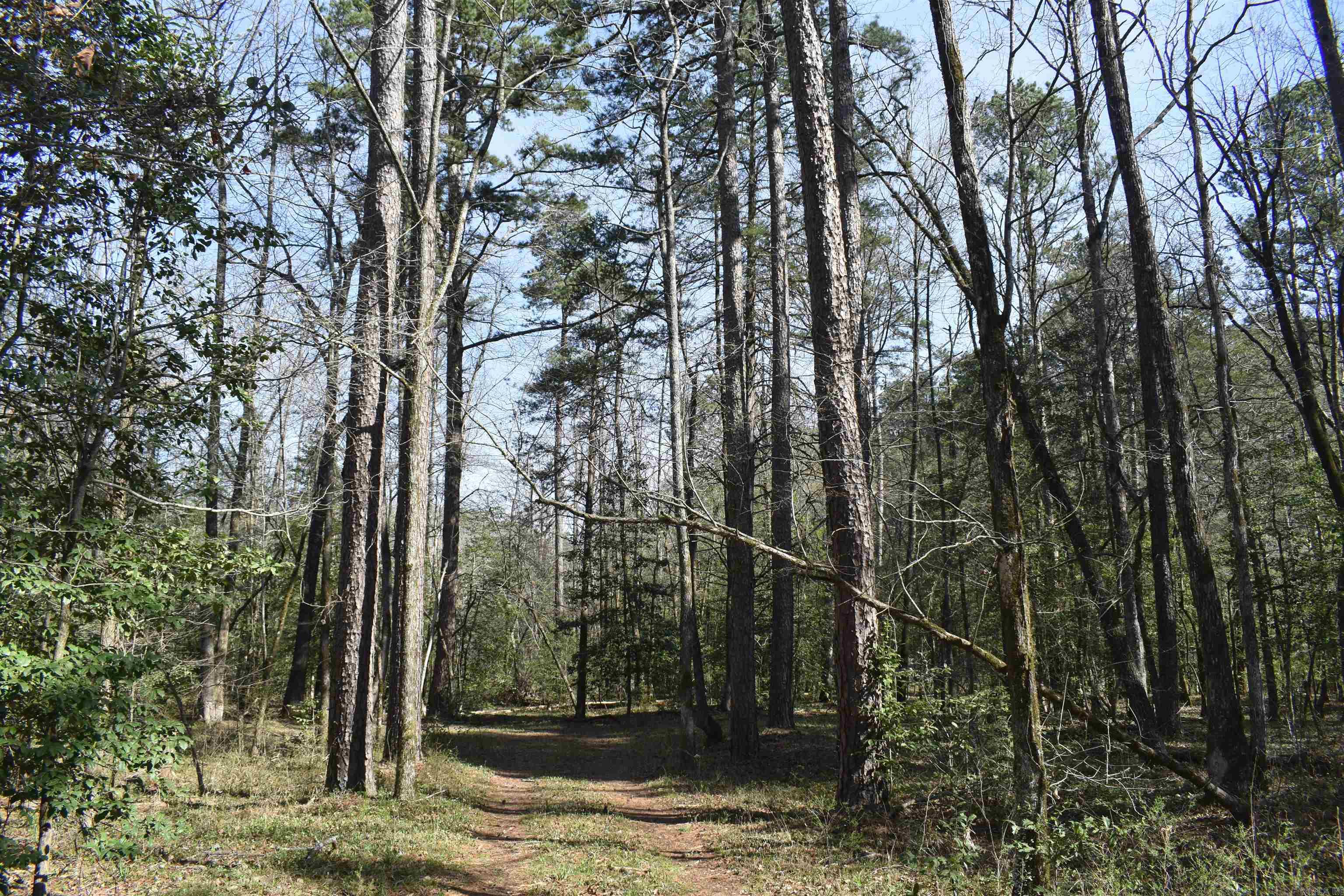 Metes & Bounds - Land