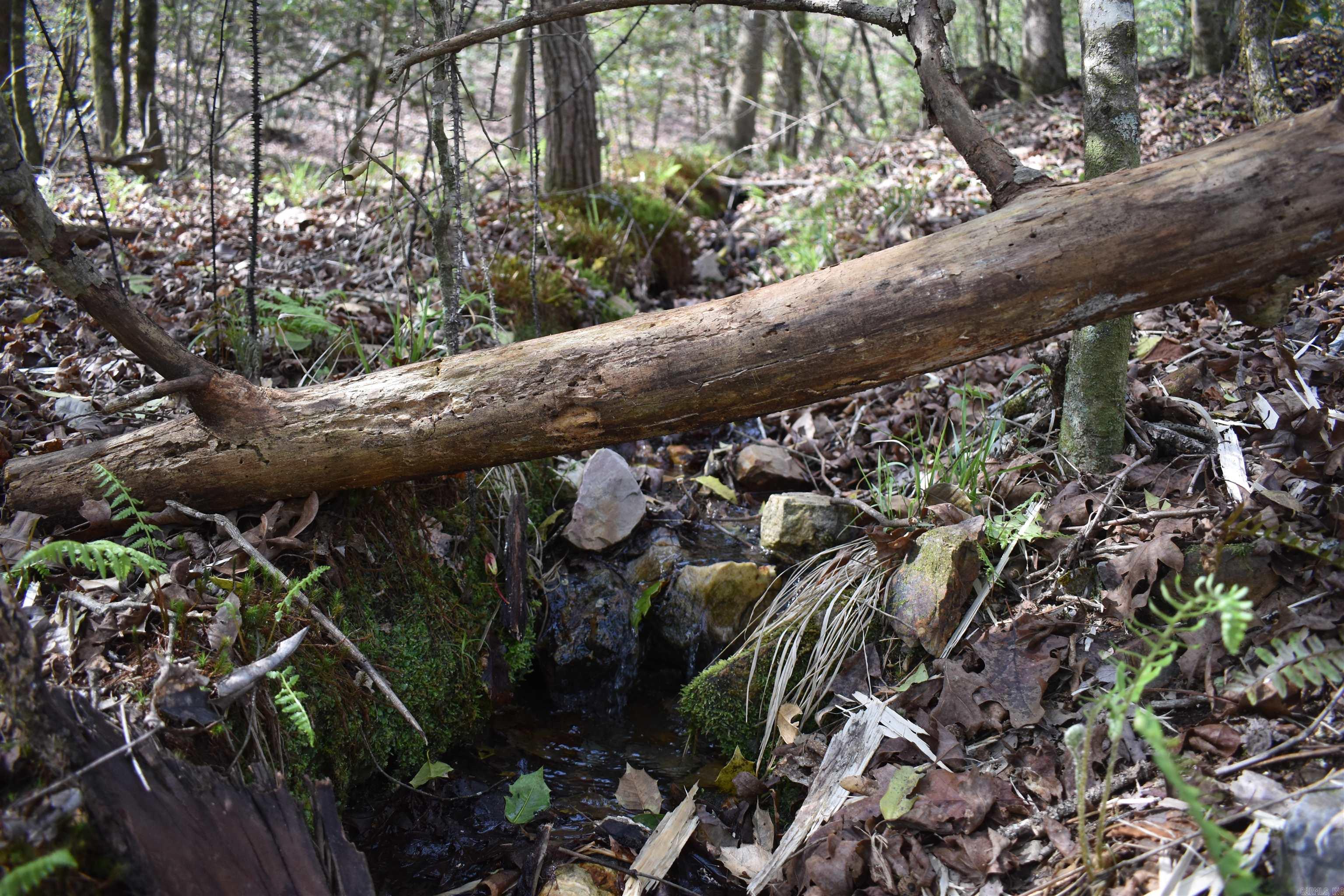 Metes & Bounds - Land