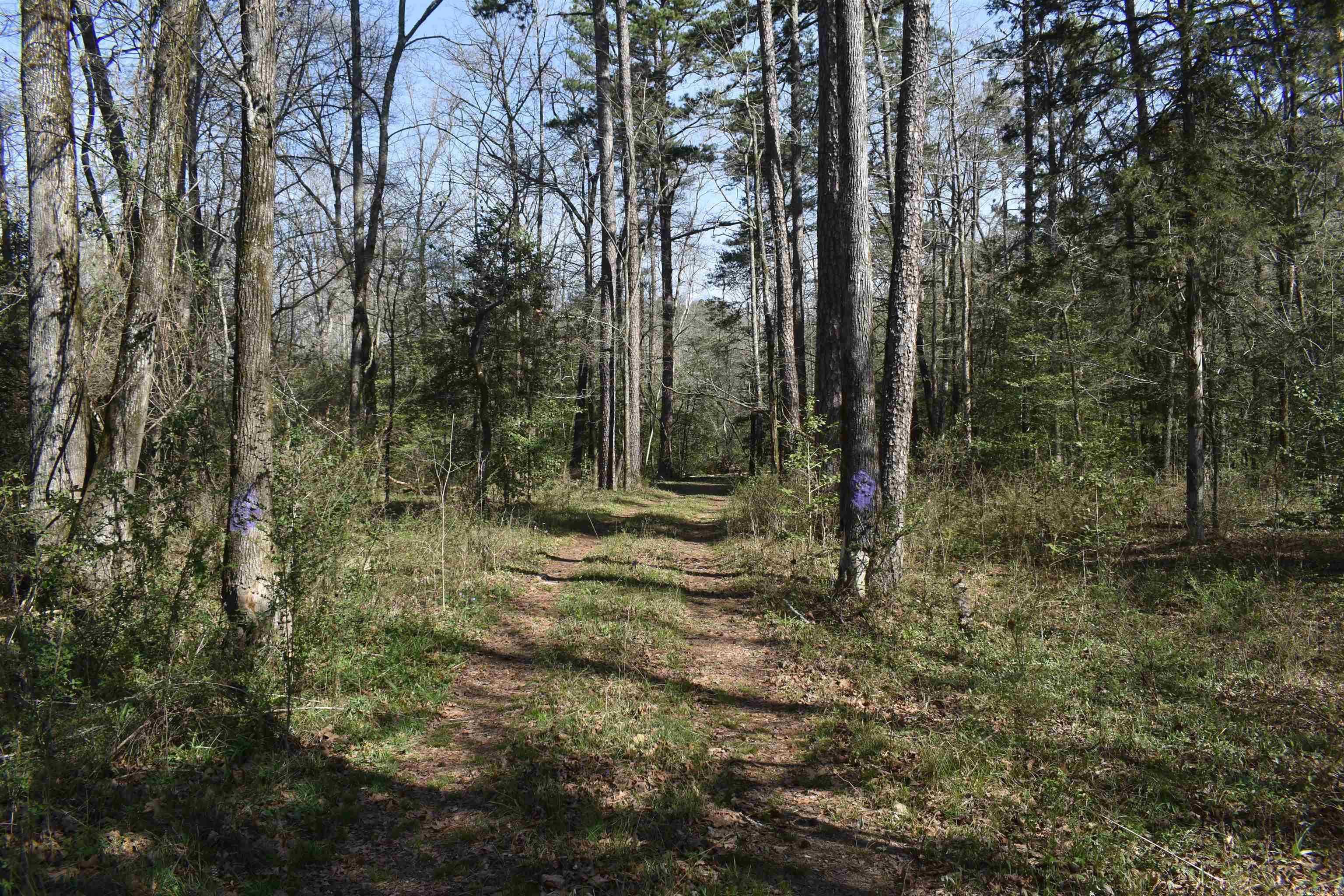 Metes & Bounds - Land