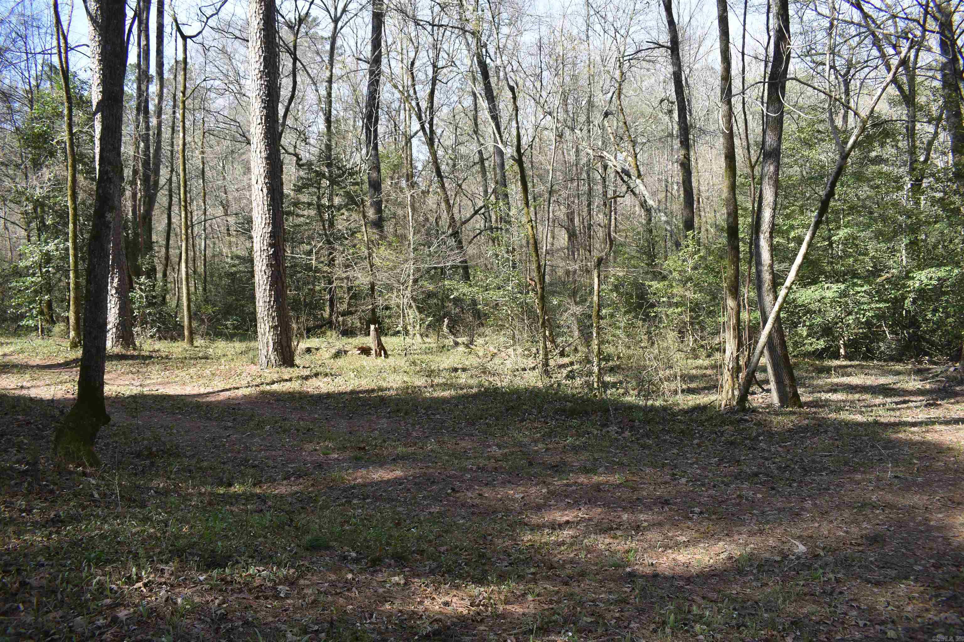 Metes & Bounds - Land