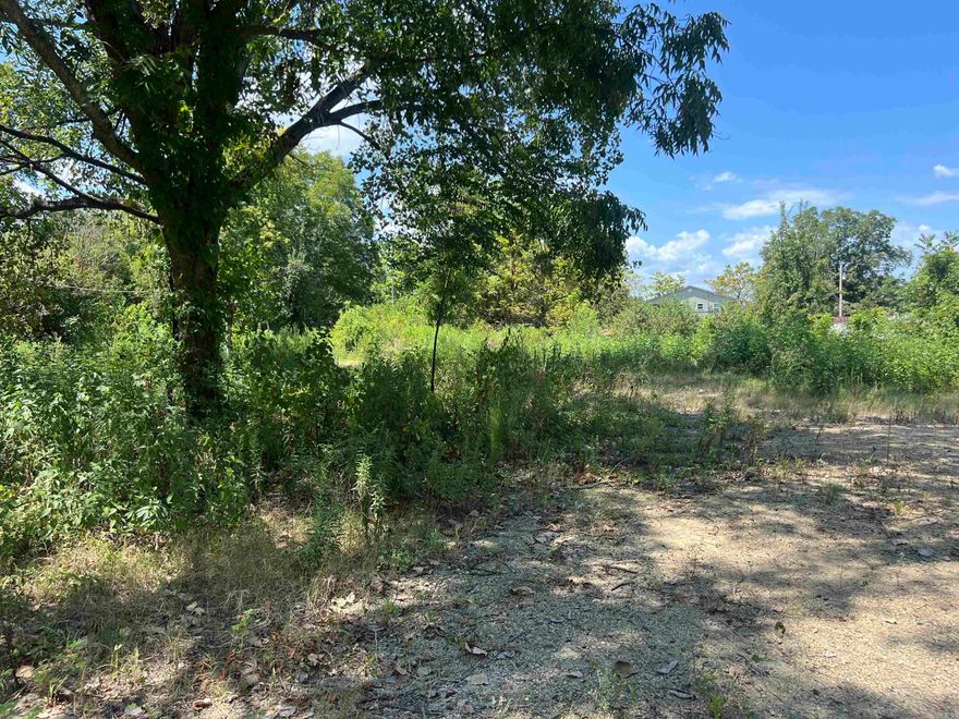 Looking for a prime location to build near hunting and fishing? This land is it!  This .75 acre lot is located right off the Arkansas River and is the perfect spot to build your weekend getaway, or home sweet home.  This former home place has a septic in place and utilities to the property and the seller is willing to allow for the lot to be bushhogged upon closing.