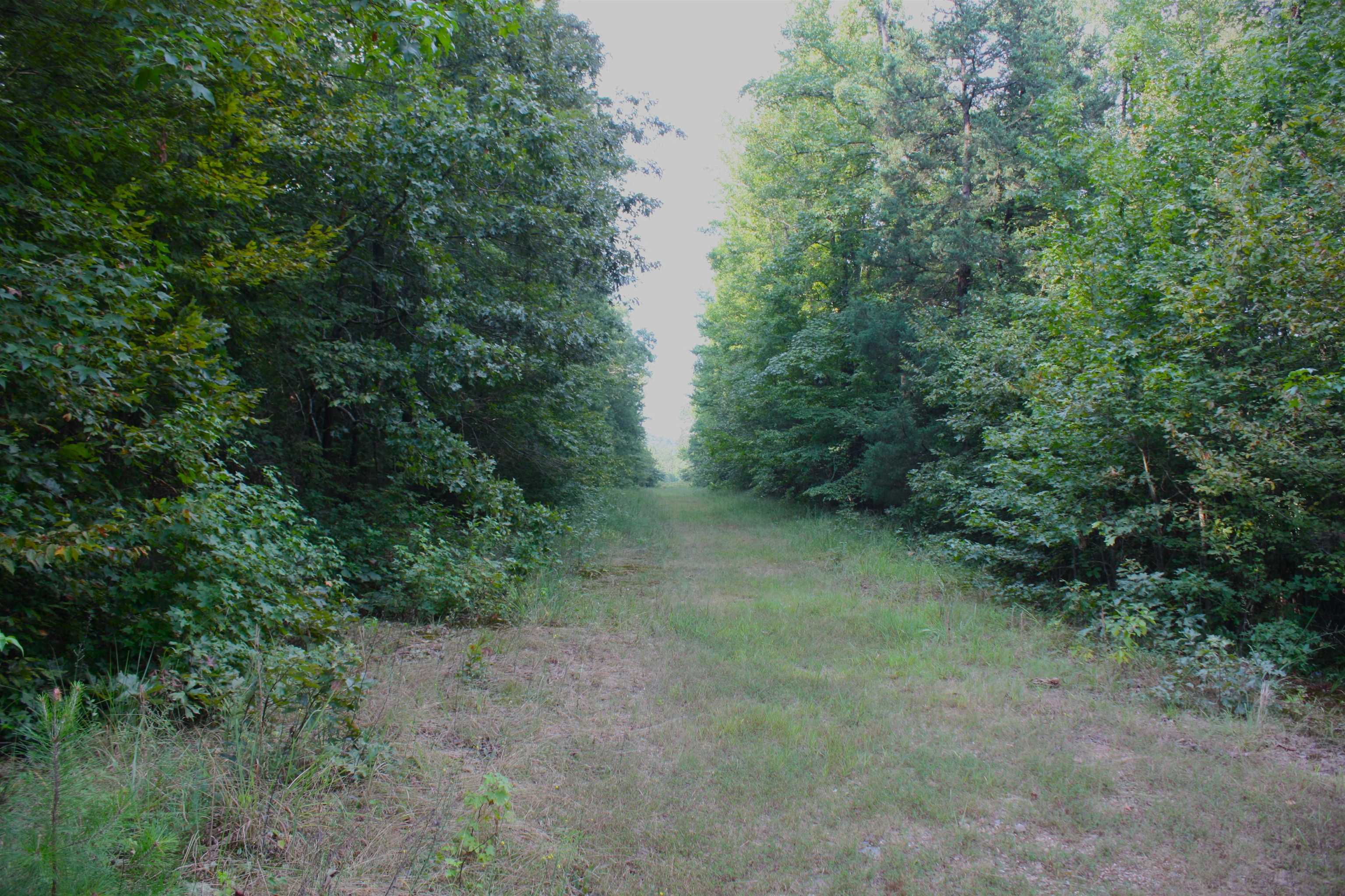 Not in Subdivision - Farm