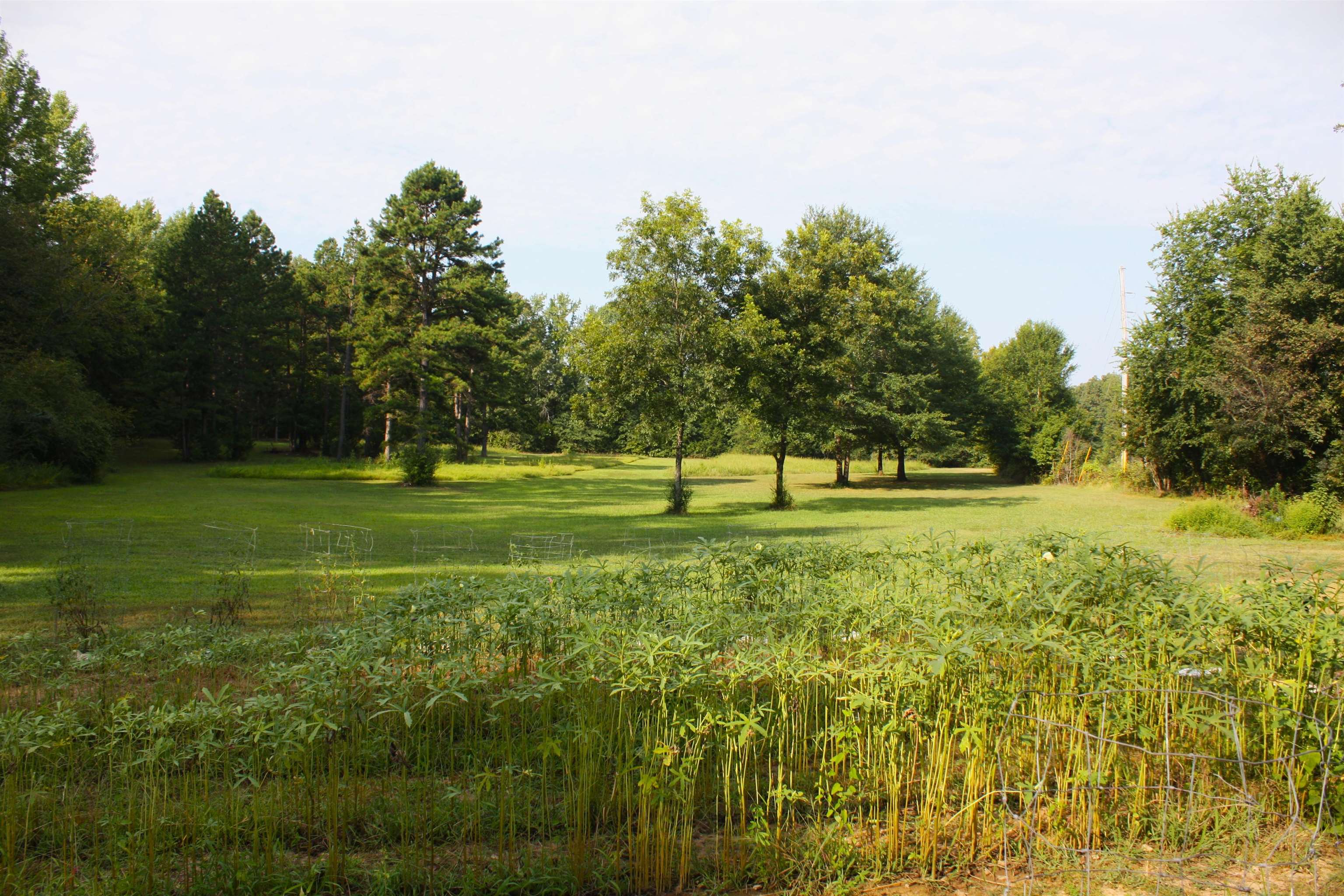 Not in Subdivision - Farm