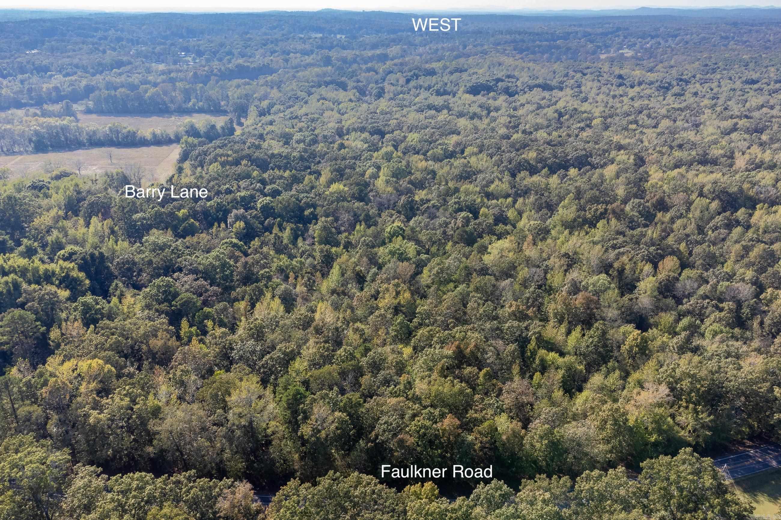 Flat and wooded lot minutes from town. 50 foot building setback from Faulkner Road, 35 foot right-of-way, 10 foot utility easement. Simple Bill of Assurance with the lot which does not allow mobile homes and driveway requirement of 225 from lot 6. City water located on Faulkner Road. Located 12 minutes from Chenal Parkway/Rahling Road & 15 minutes from Interstate 430. See associated documents for survey, bill of assurance and final plat.