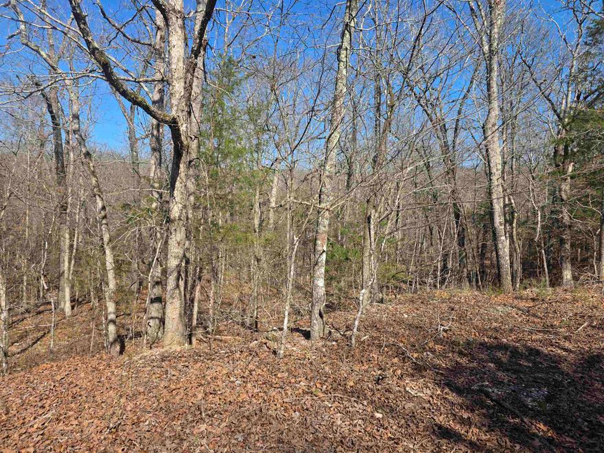 Wonderful and wooded lot in the heart of Cherokee Village. Secluded and away from it all. But close to a main road for quick exits from the Village for shopping, dining and entertainment. Lots of trees and lots of wildlife as well as a wet weather creek at the very back of the lot. Buy this lot and pick your spot to build your dream home or just a getaway cabin. With ownership of this lot, you will have access to all the amenities of Cherokee Village such as the 7 lakes and Two 18-hole golf courses also the Thunderbird Center and swimming pool, mini golf, parks, hiking trails and don't forget about the beautiful Southfork River for fishing, kayaking or just floating down to wet your toes. This is a wonderful lot to purchase and plan for your future home. Call to purchase this one. This lot can be purchased in a package deal with 4 other lots. All side by side. That's 5 lots in total for great seclusion and privacy.