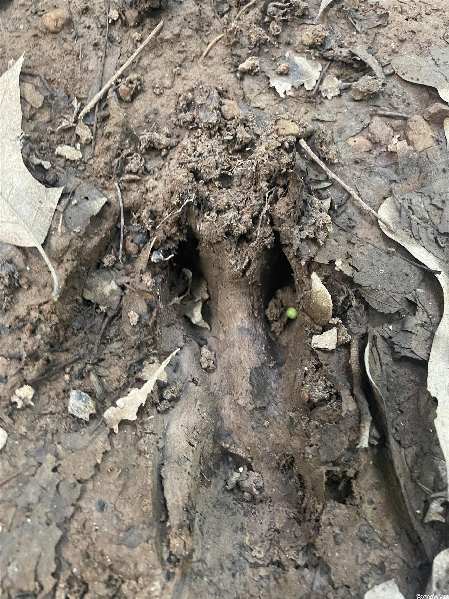 Not in Subdivision - Land