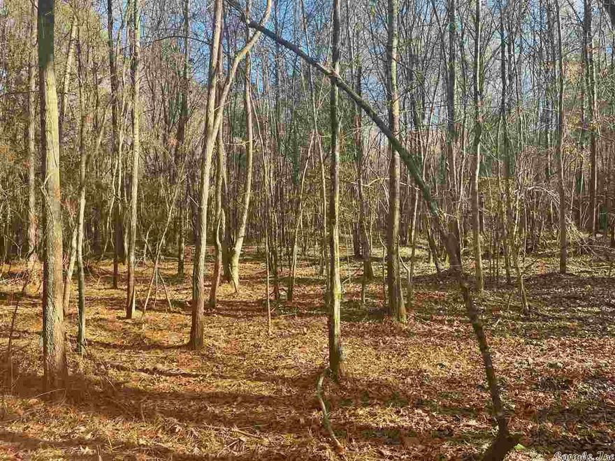 80 acres of prime hunting land in Grant County. This tract is a beautiful mixture of hardwood bottoms and native pine. Cane Creek runs through the property and provides an excellent travel path for wildlife. There is abundant wildlife on the property including deer, turkey, hog, and small game.The tract was select thinned several years ago and has a great variety of mature hardwood, pine and young growth. Near Little Rock, Benton, Bryant & Sheridan. Perfect quick getaway for the family or friends! Seller willing to split in 2- 40 acre parcels. New survey.