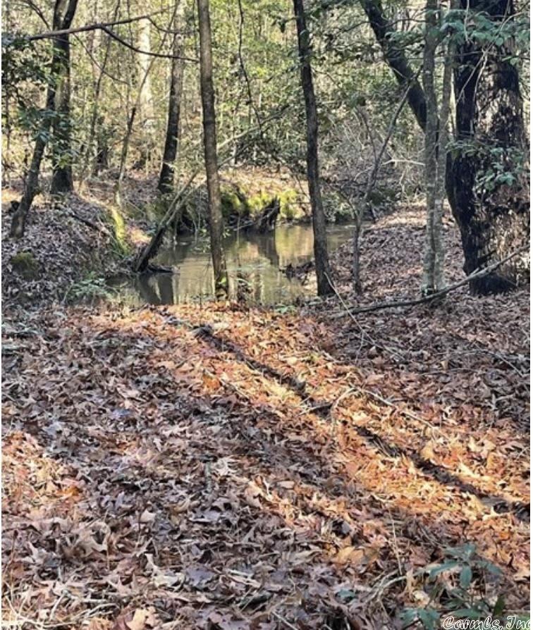 Not in Subdivision - Land