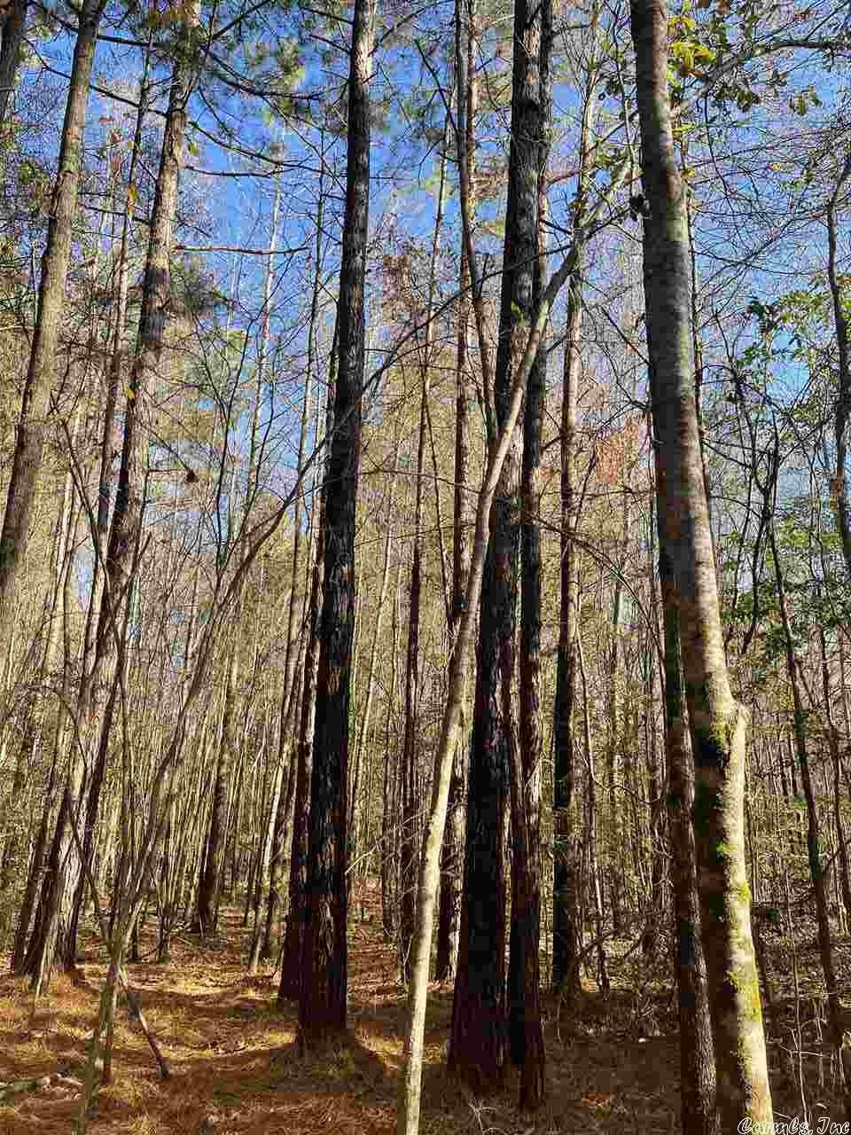 Not in Subdivision - Land