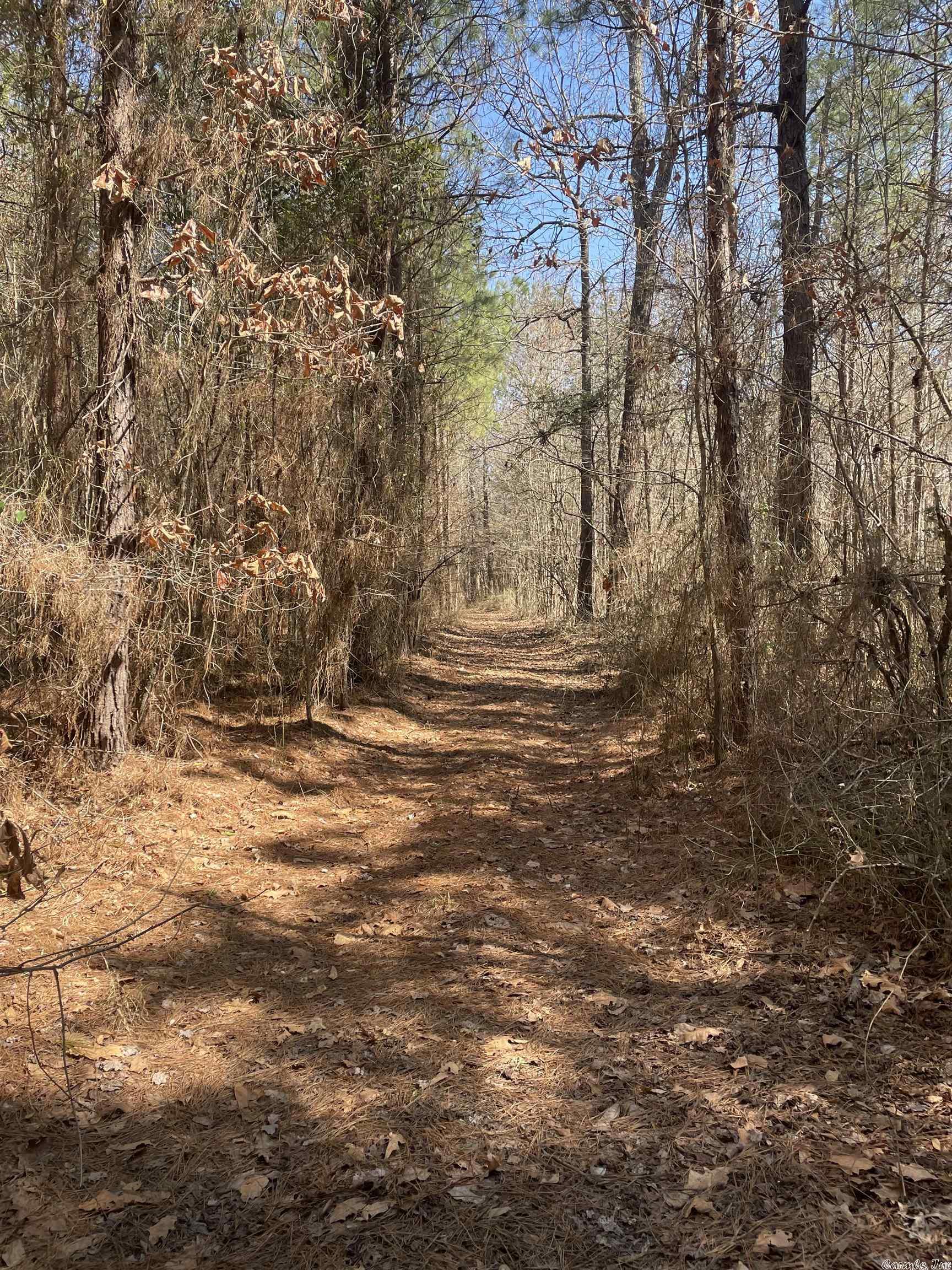 Not in Subdivision - Land