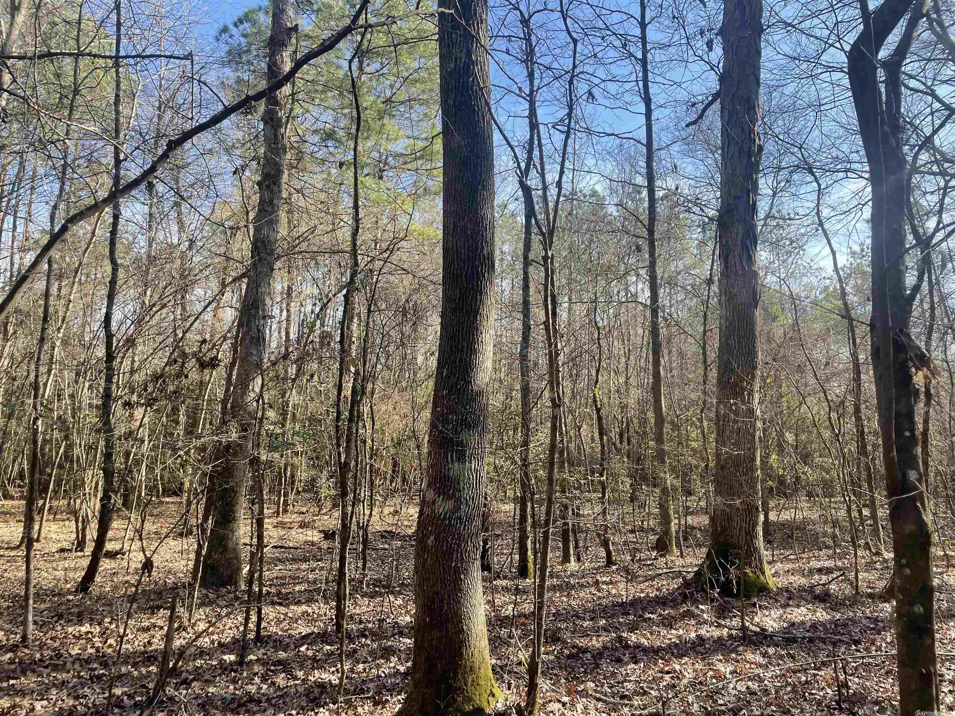 Not in Subdivision - Land