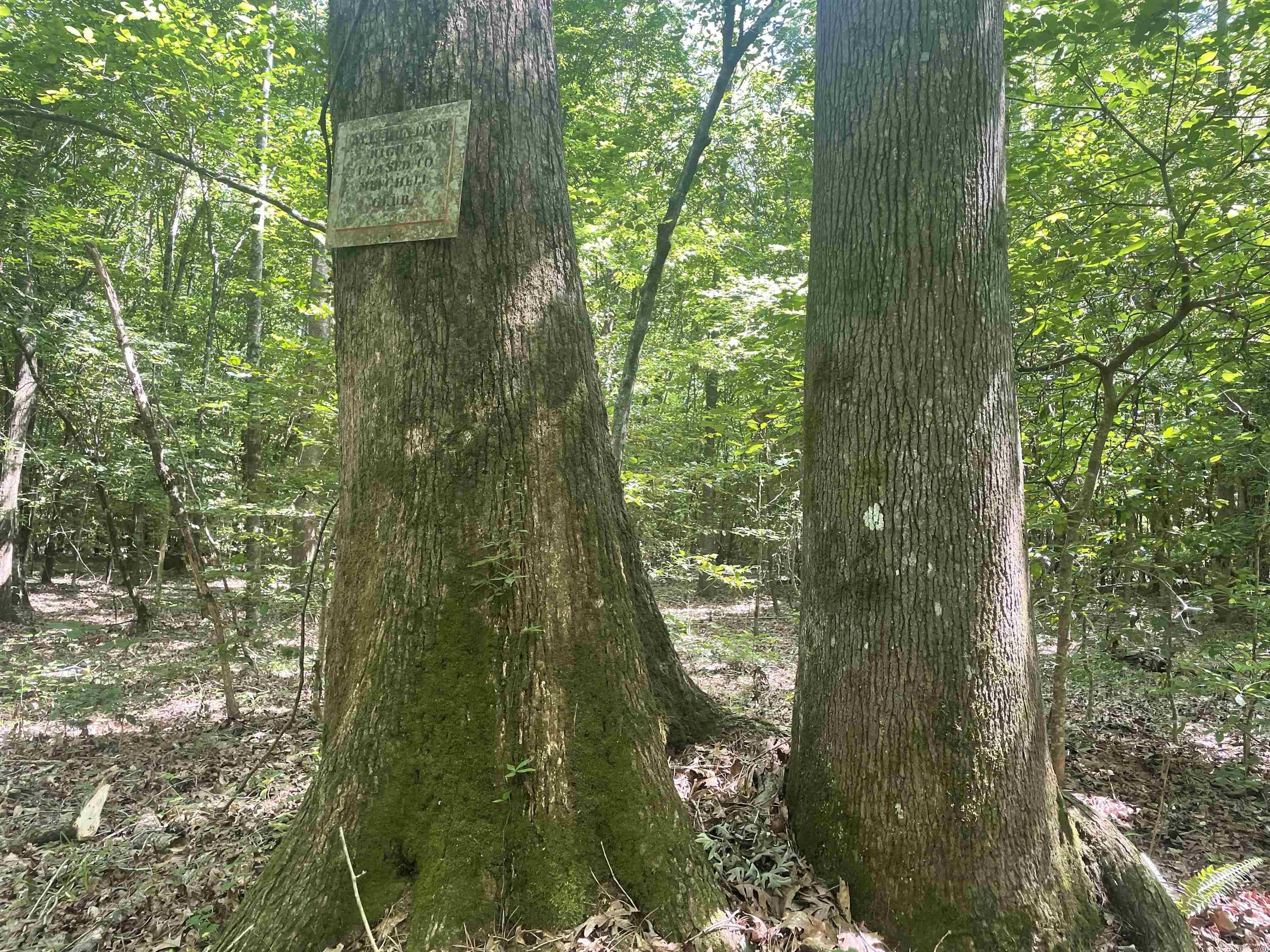 Not in Subdivision - Land