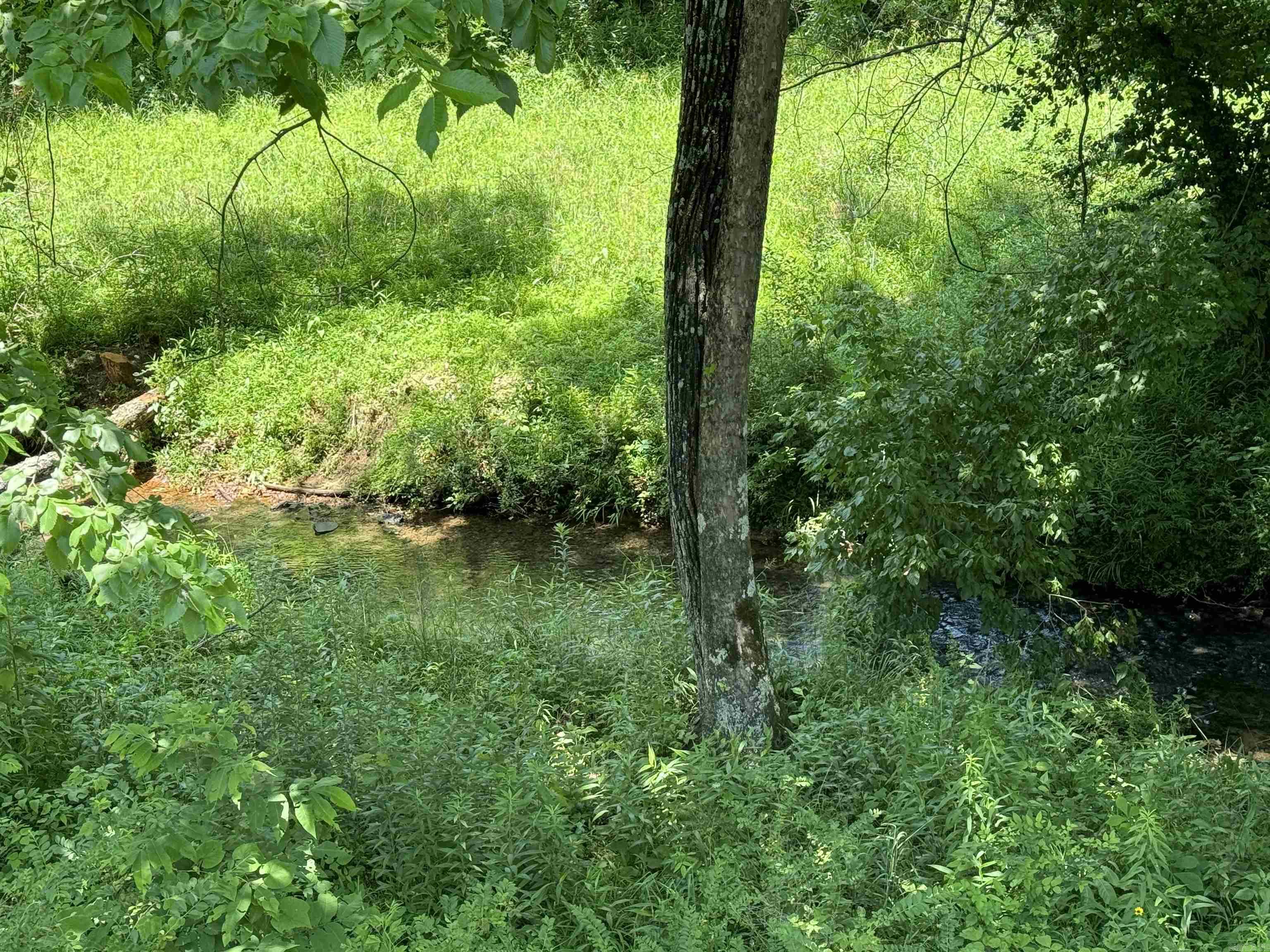 ARNOLD SPRINGS - Residential