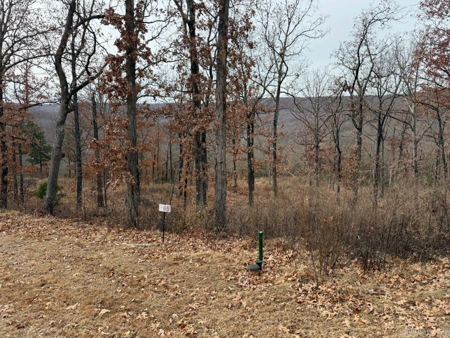 Round Mountain Estates - Land