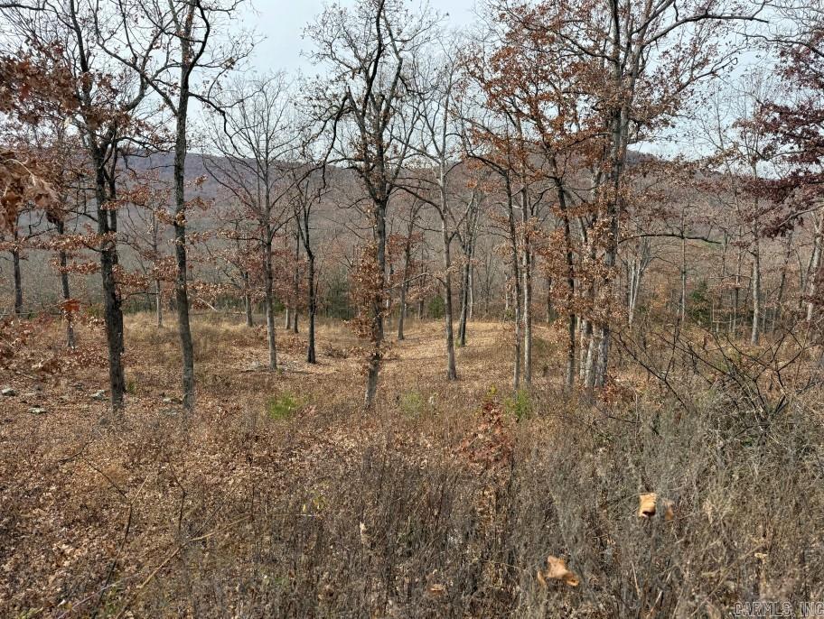 Round Mountain Estates - Land