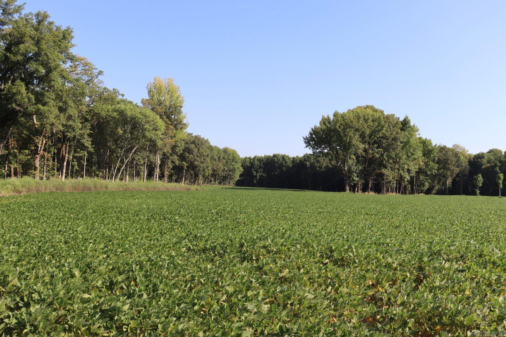 Not in Subdivision - Farm